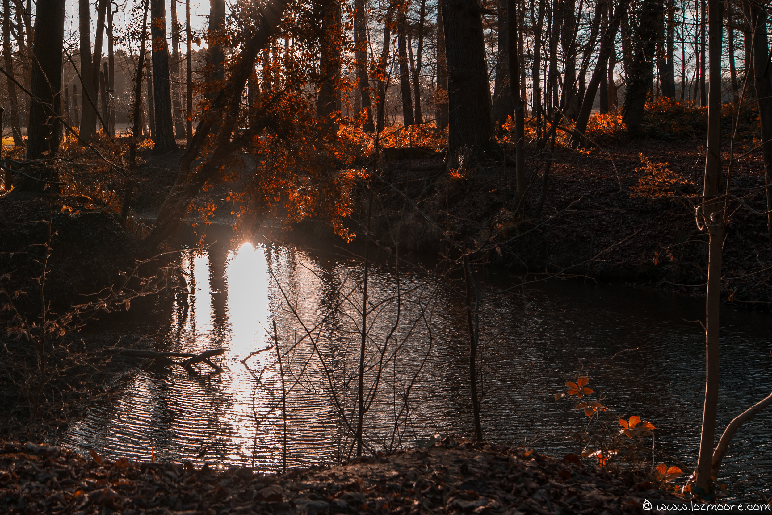 Coombe Abbey-1-3.jpg