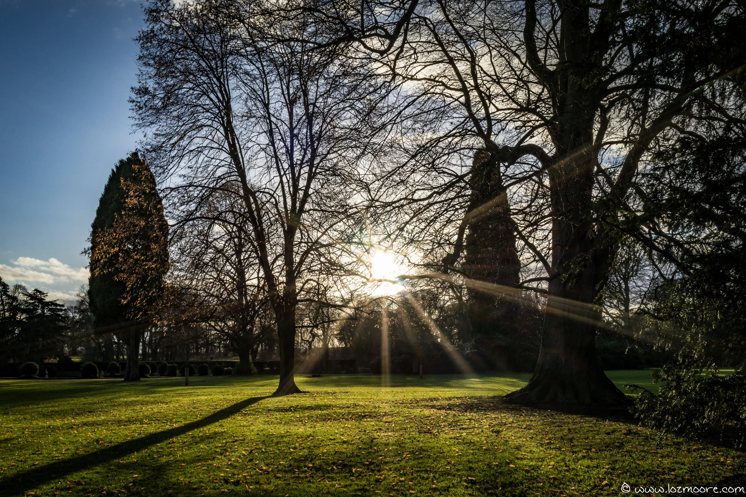 Coombe Abbey-1.jpg