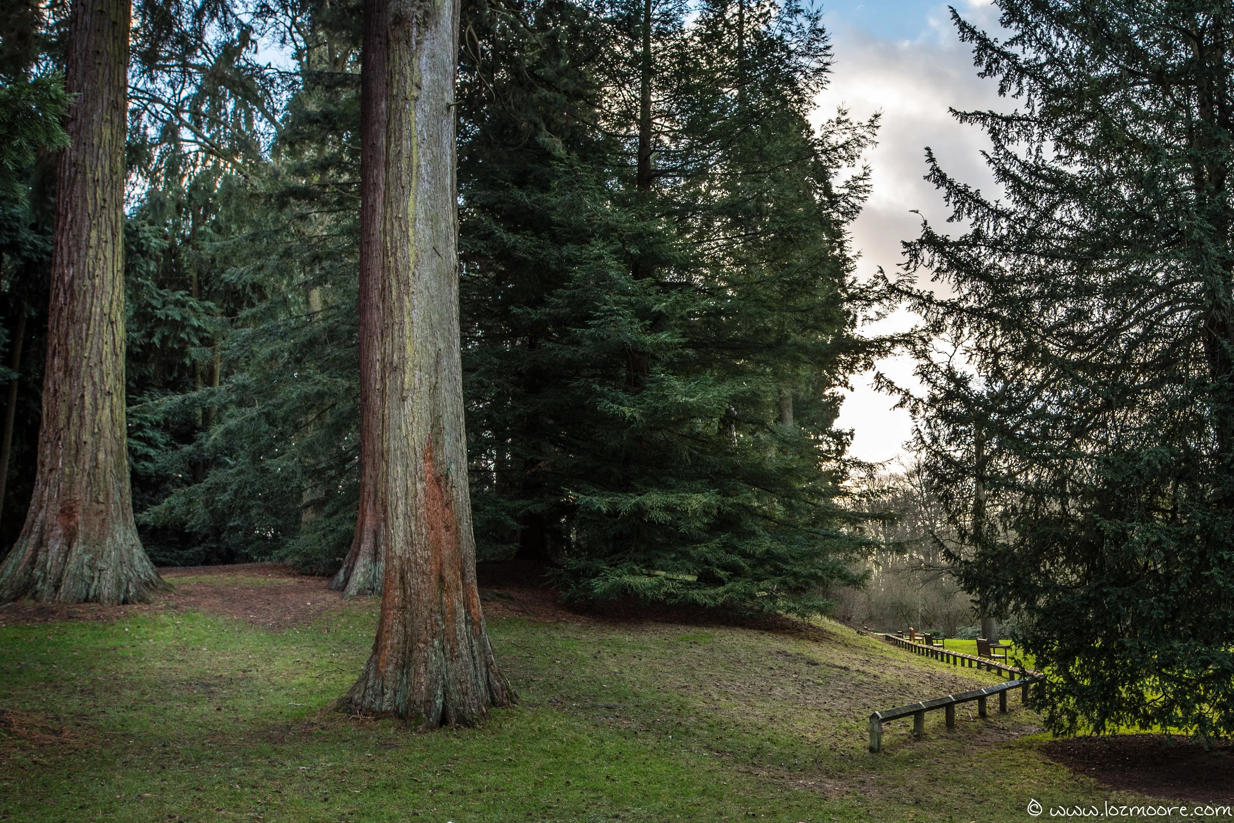 Coombe Abbey-1-5.jpg