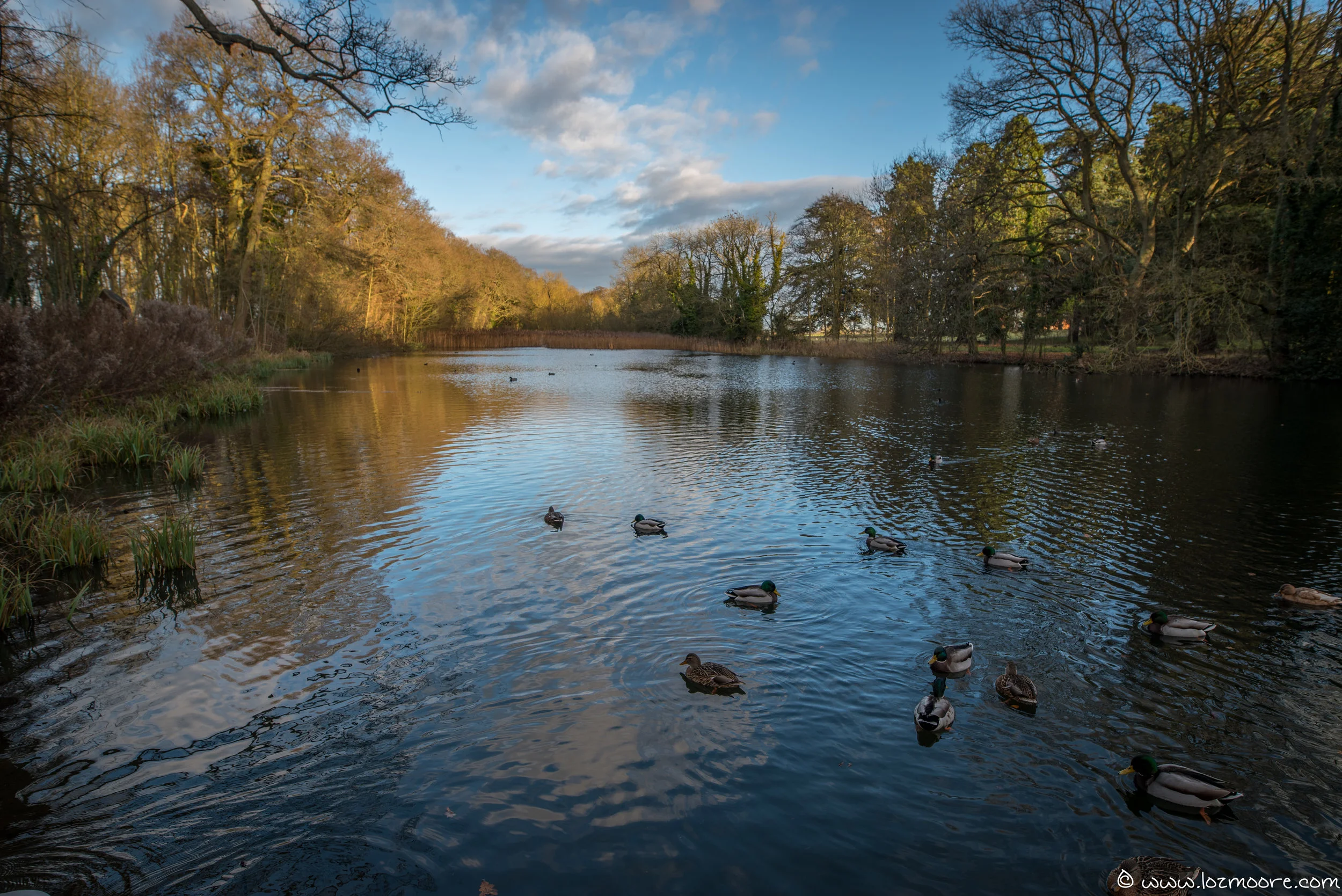 Coombe Abbey-1-4.jpg