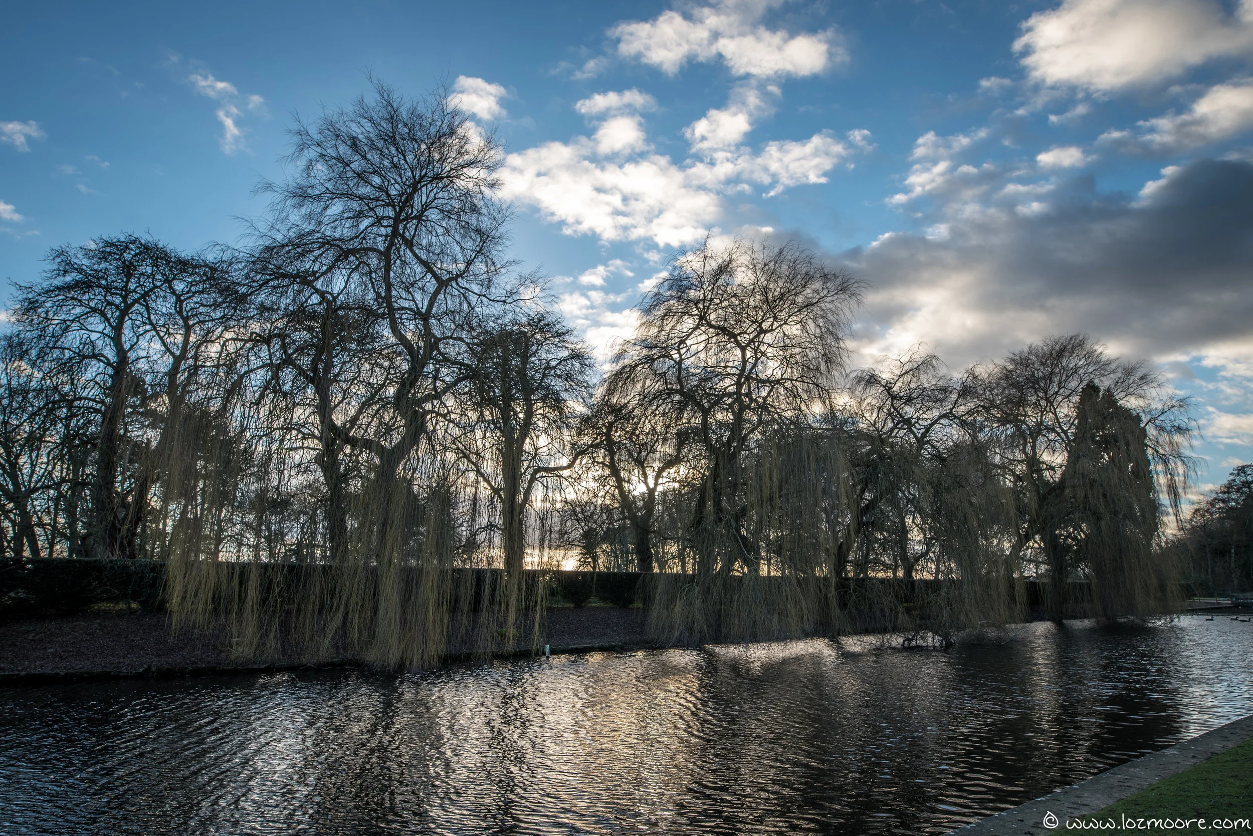 Coombe Abbey-1-7.jpg
