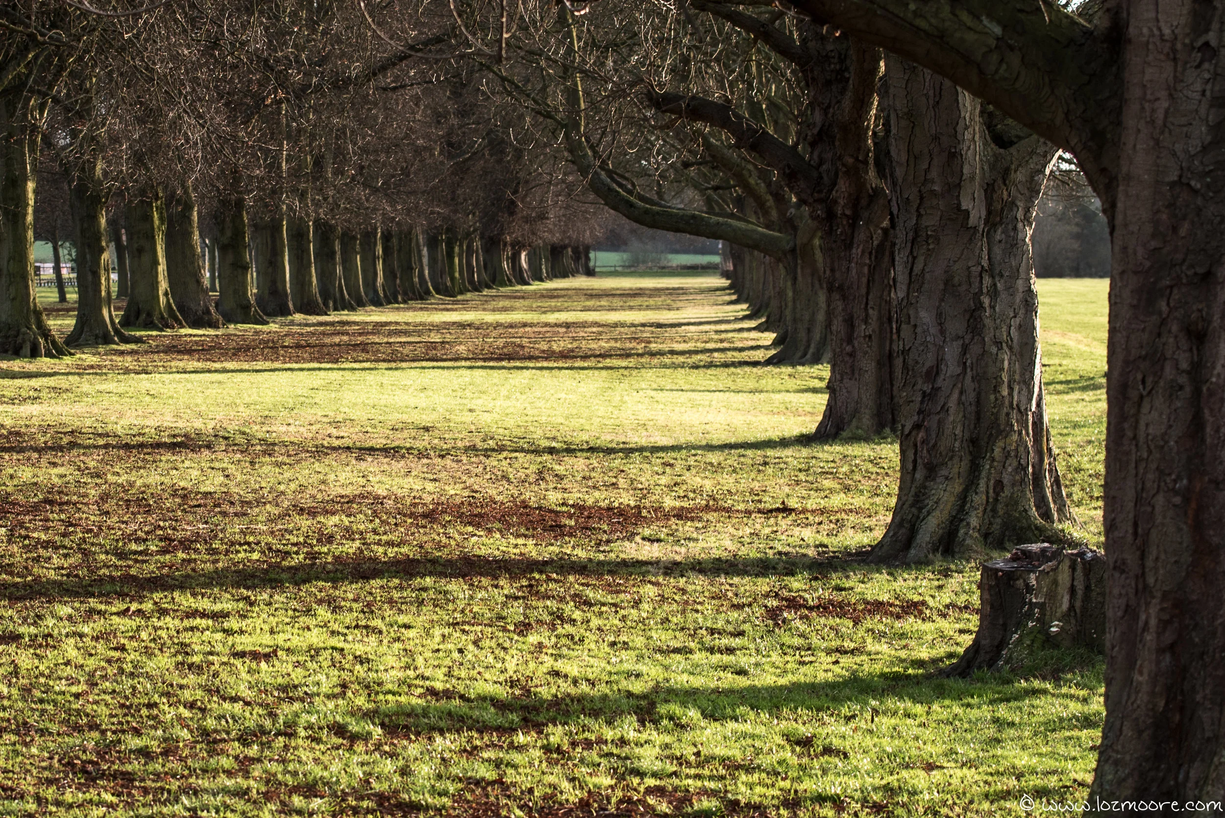 Coombe Abbey-1-10.jpg