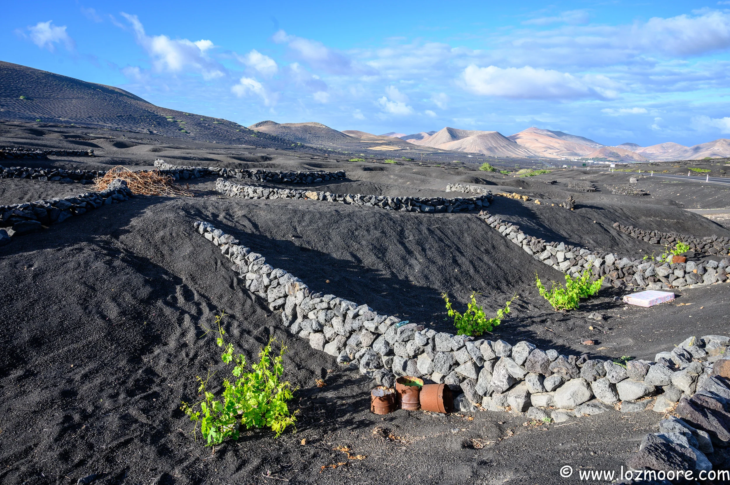 Lanzarote-1-10.jpg