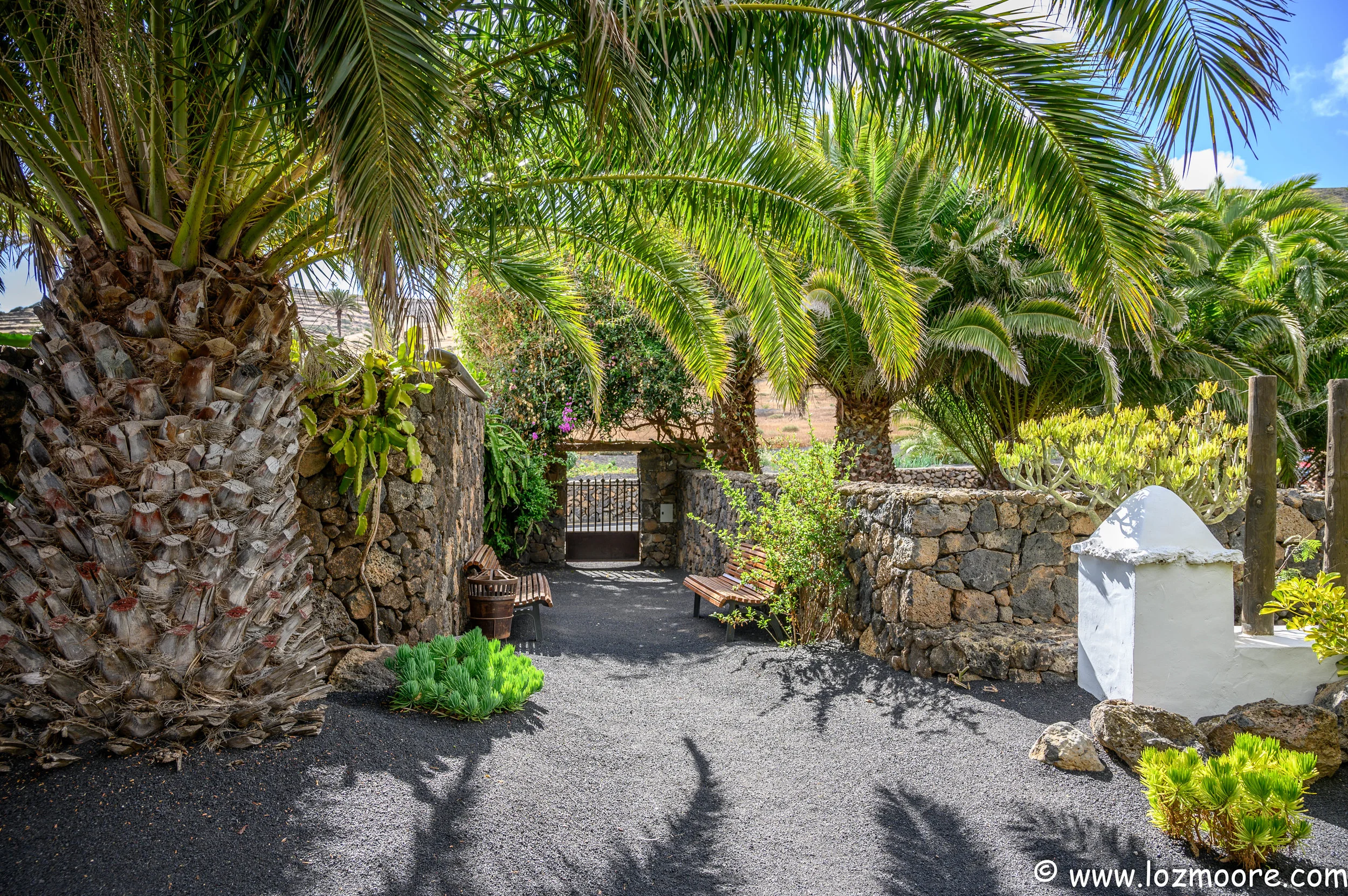 Lanzarote-1-16.jpg
