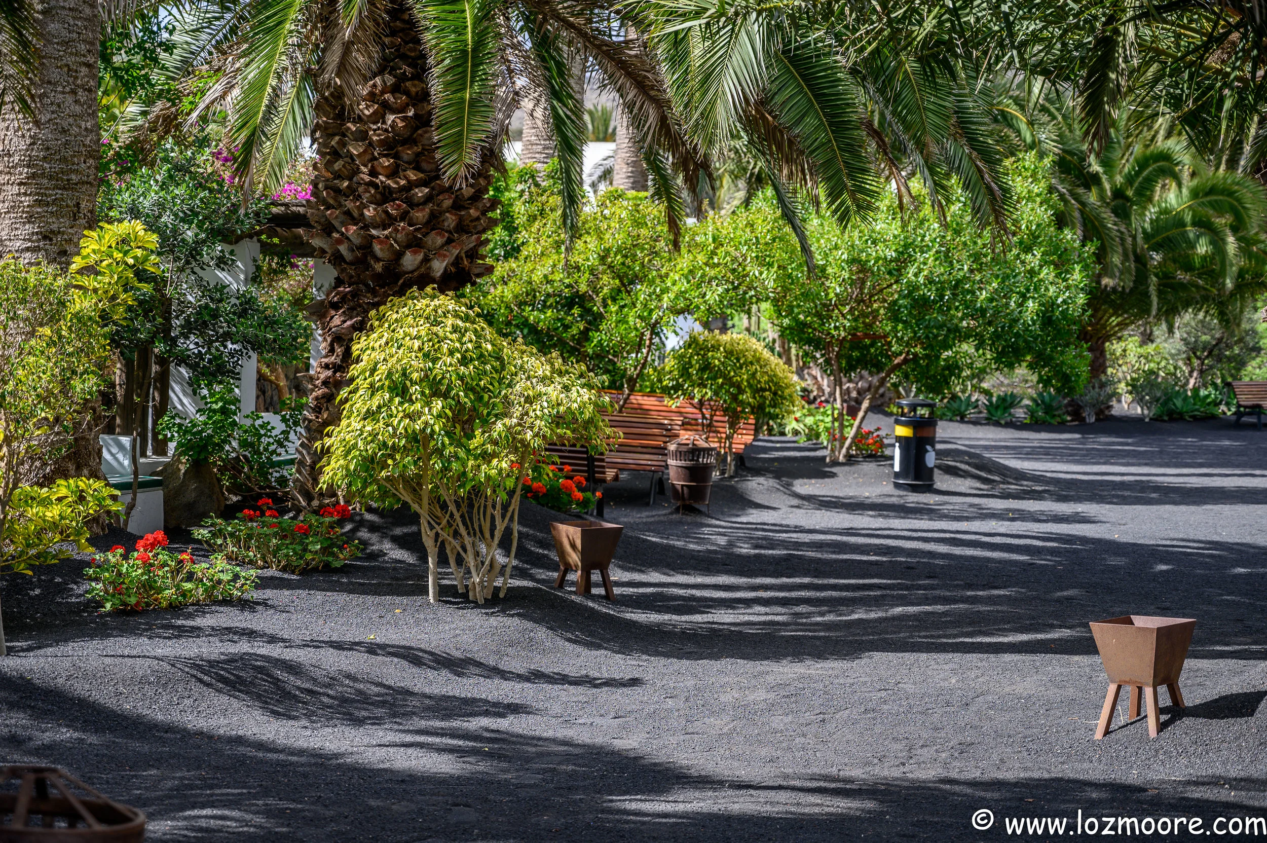 Lanzarote-1-18.jpg