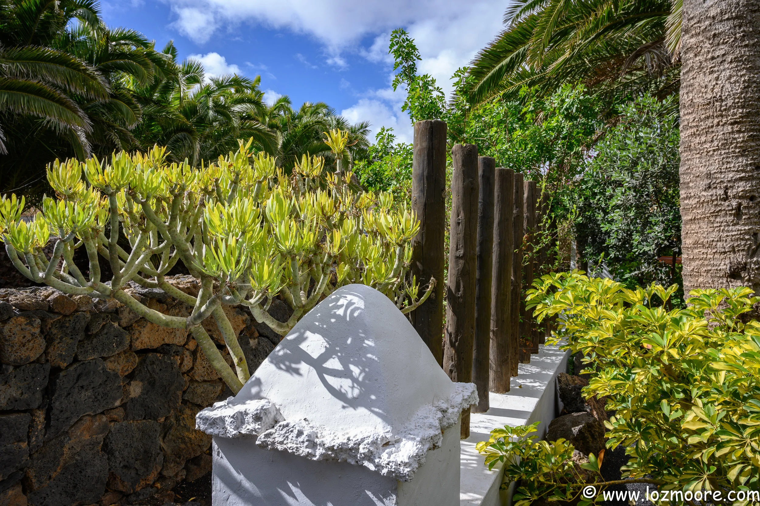 Lanzarote-1-19.jpg