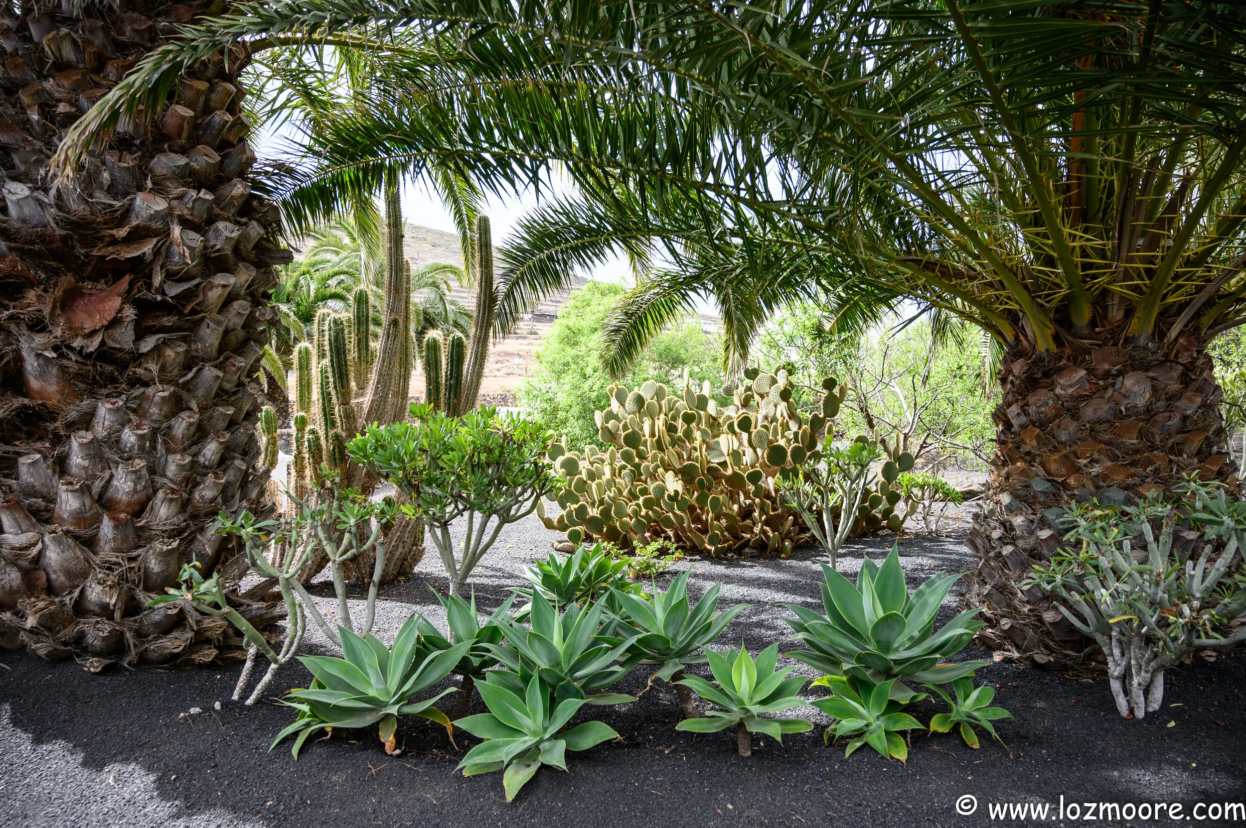 Lanzarote-1-22.jpg