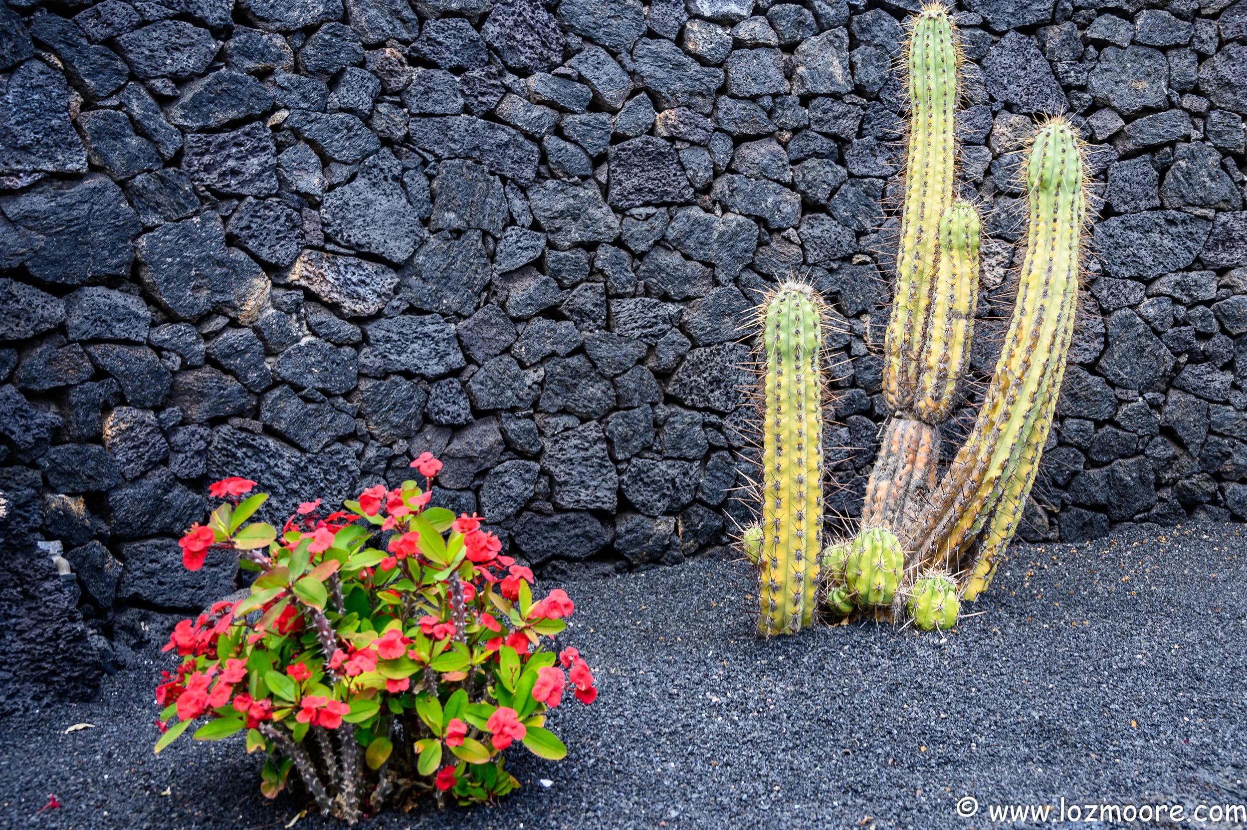 Lanzarote-1-28.jpg