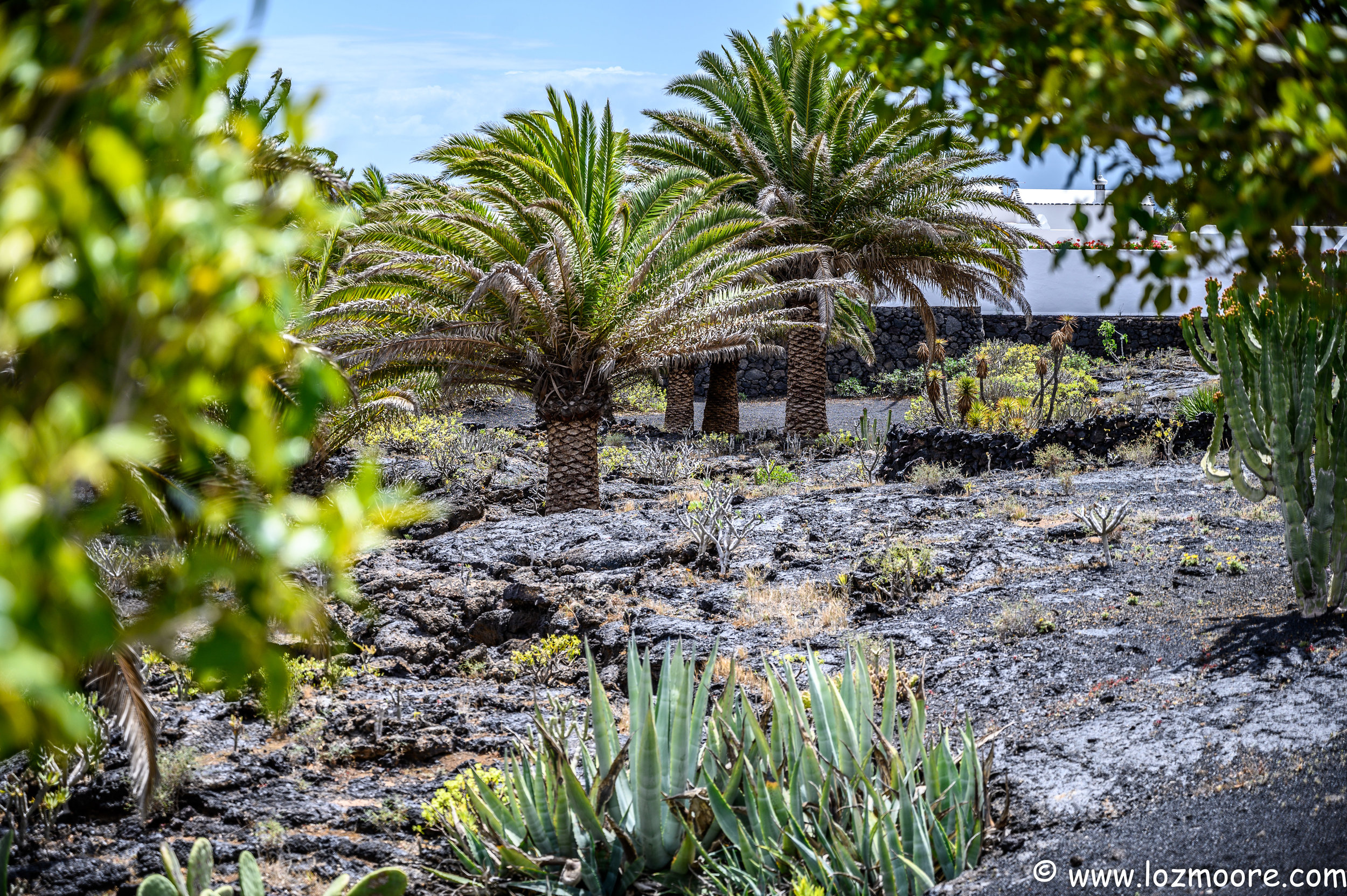 Lanzarote-1-37.jpg