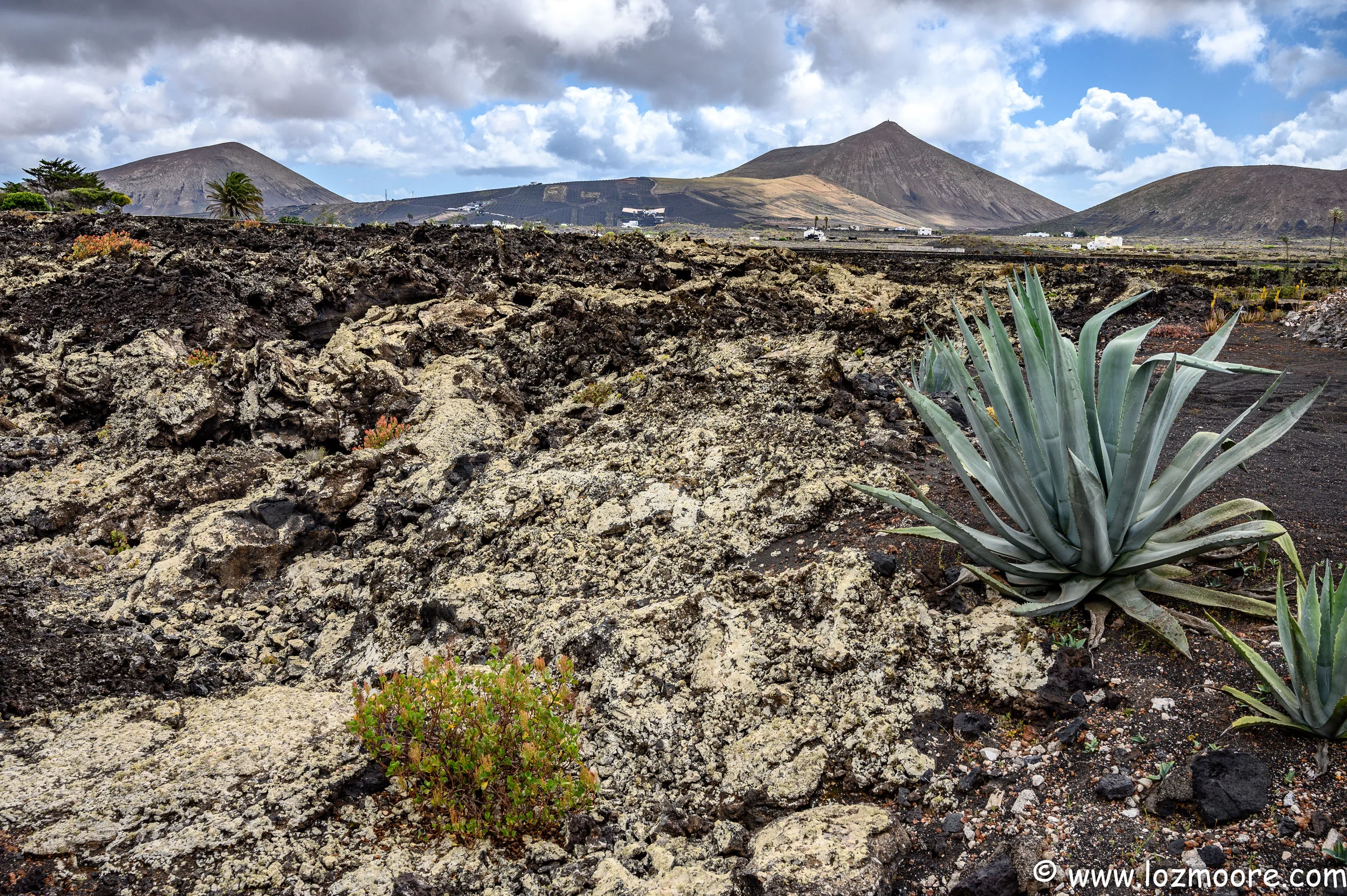 Lanzarote-1-76.jpg