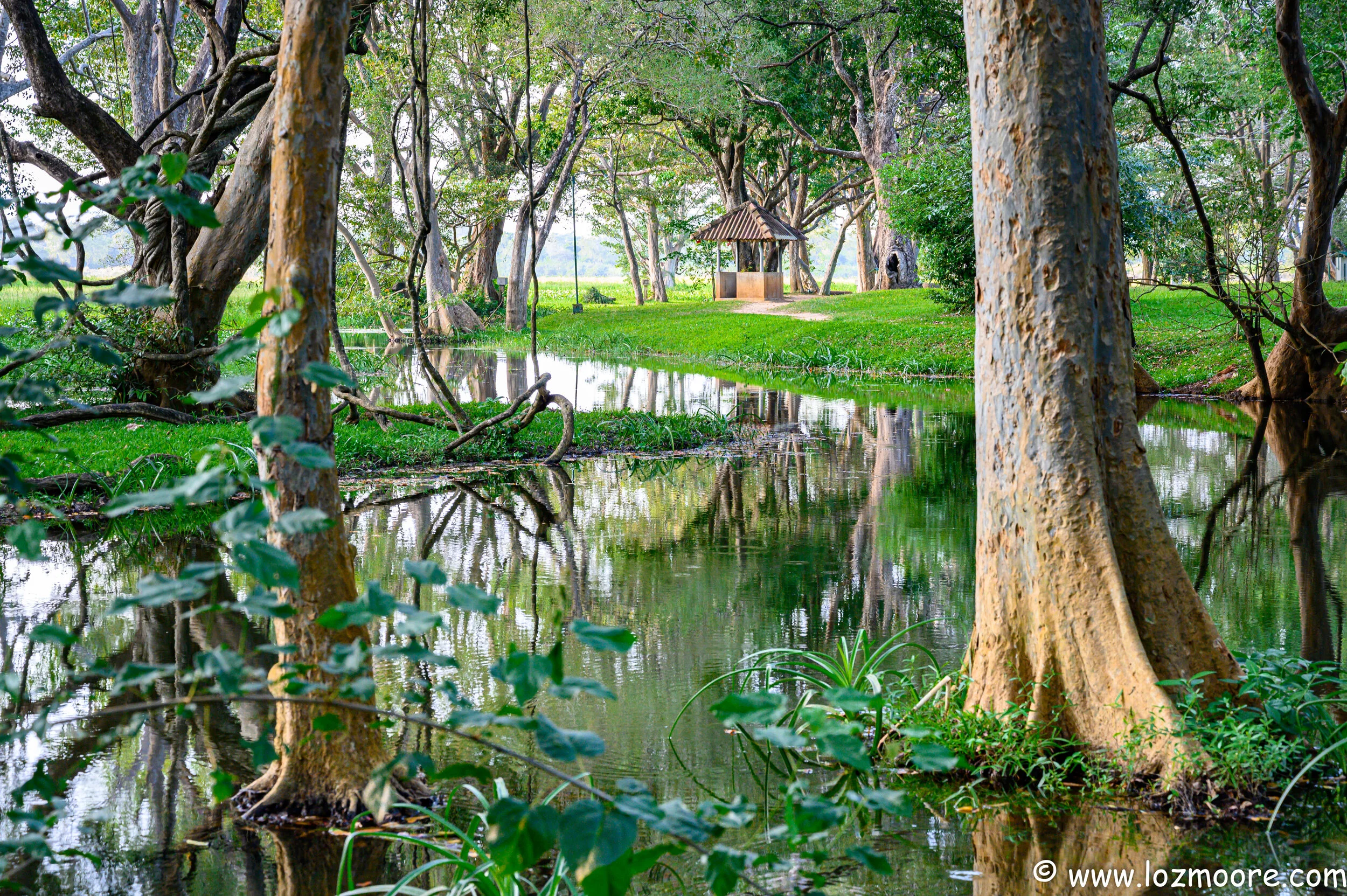 SriLanka-1-14.jpg