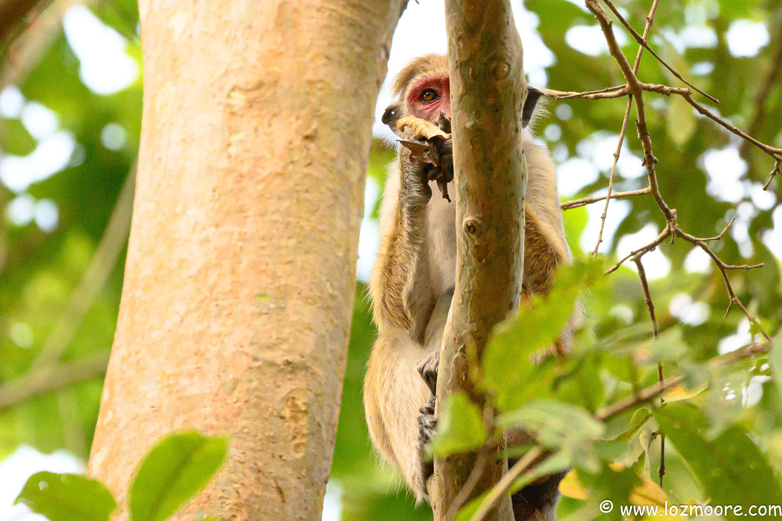 SriLanka-1-18.jpg