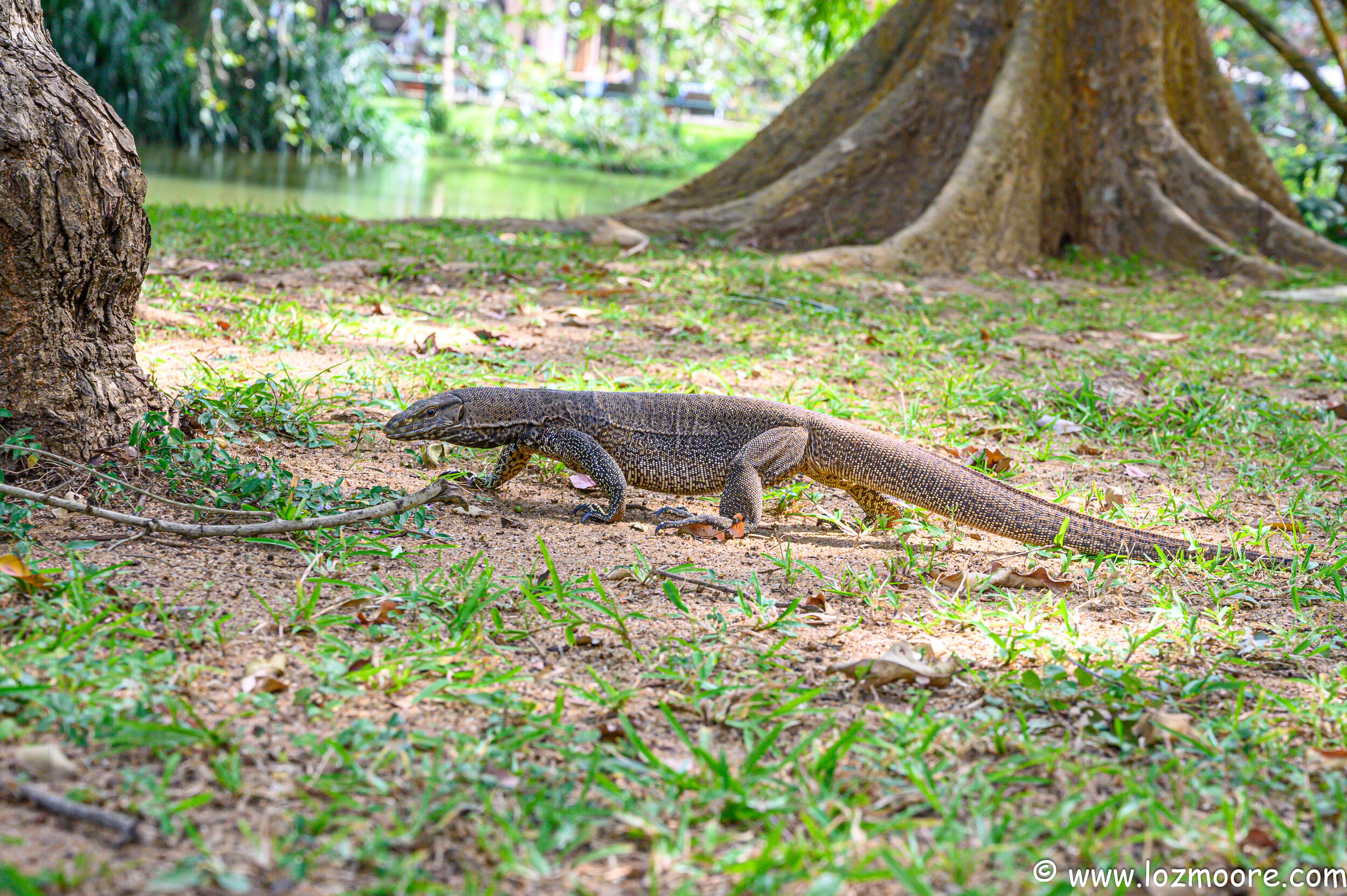 SriLanka-1-21.jpg