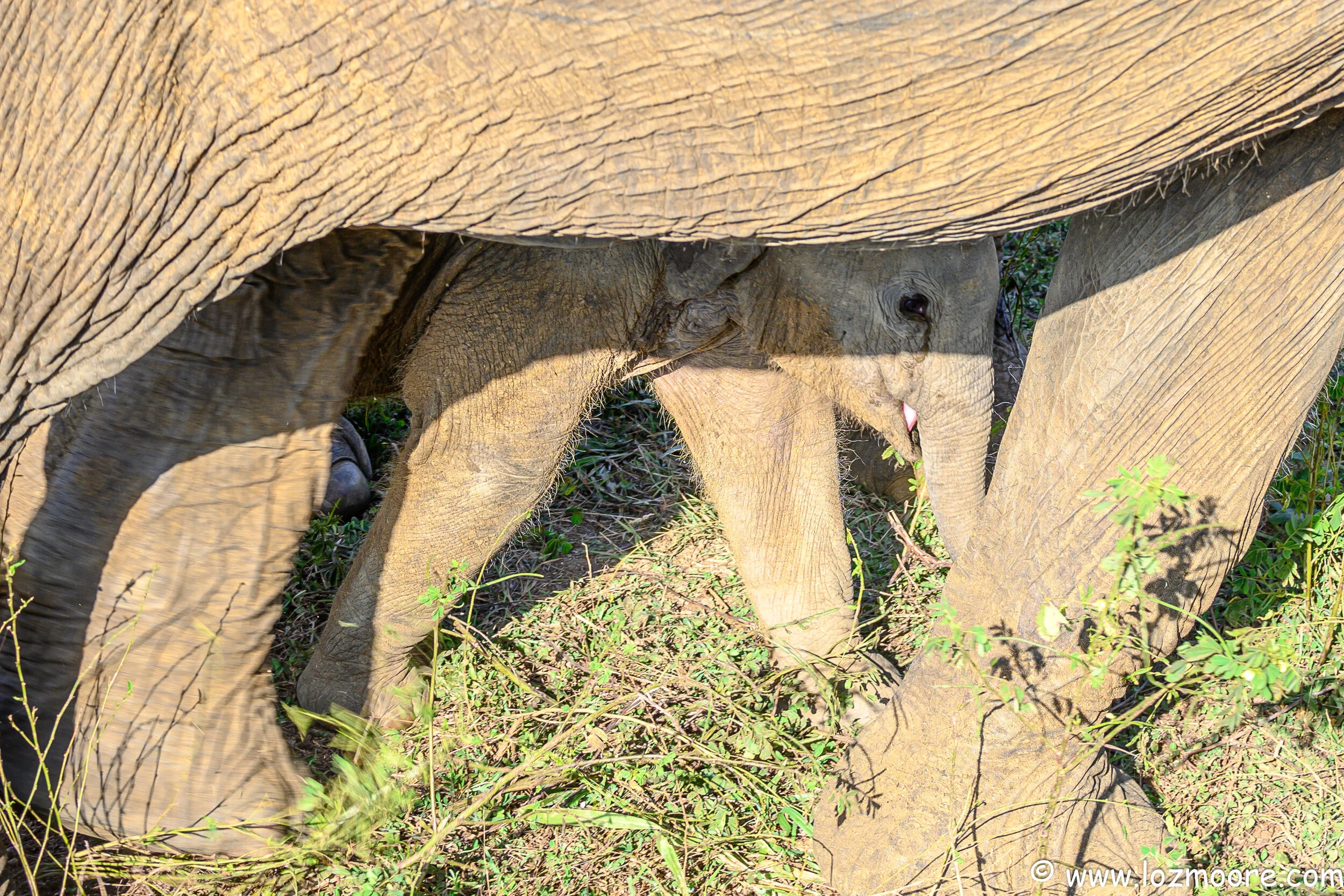 SriLanka-1-25.jpg