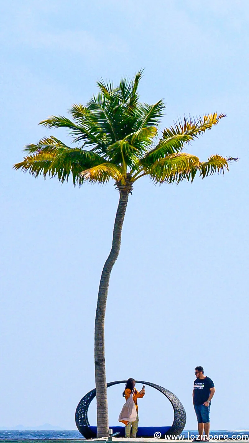 Maldives-1-8.jpg