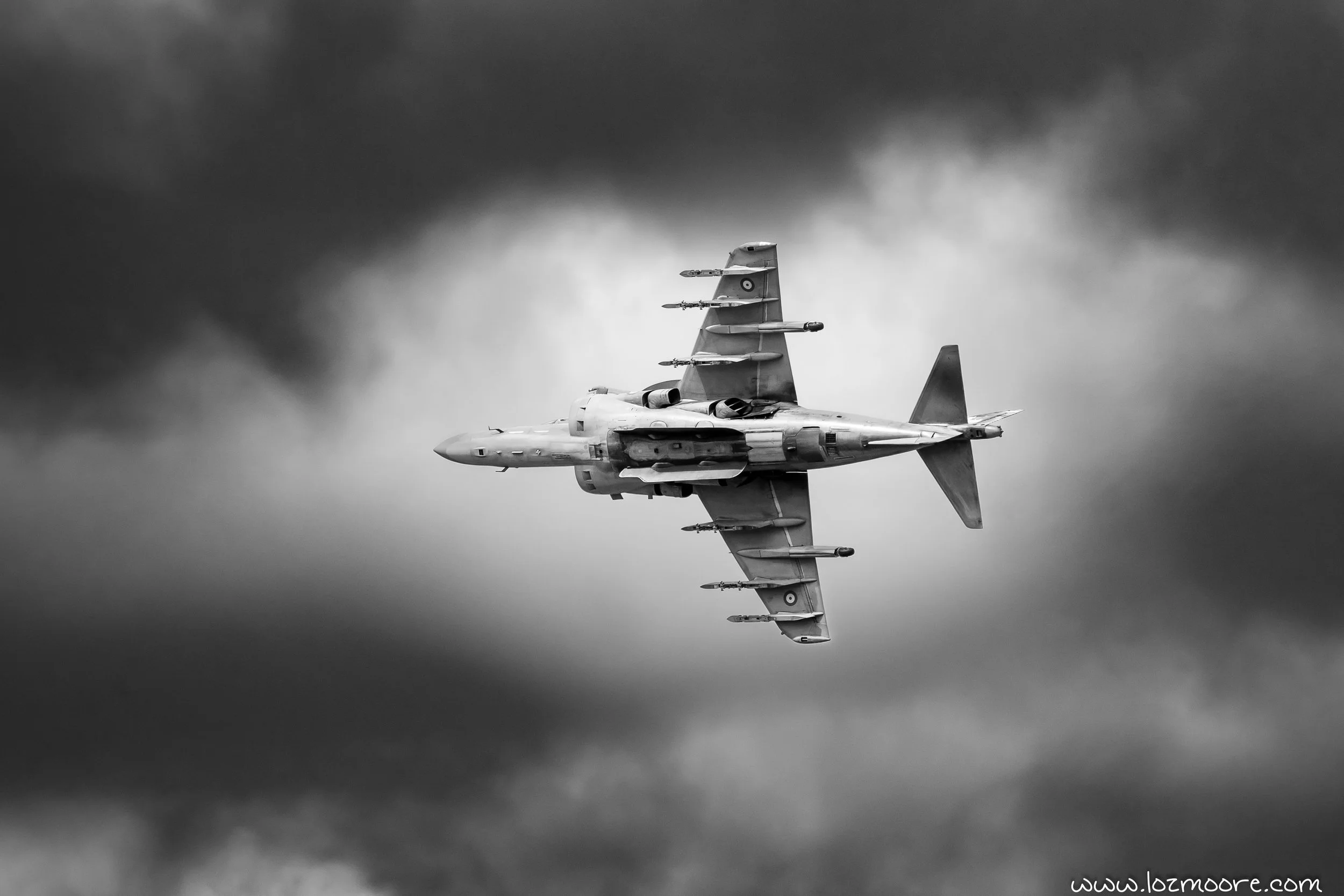 NZ8_9924.jpg