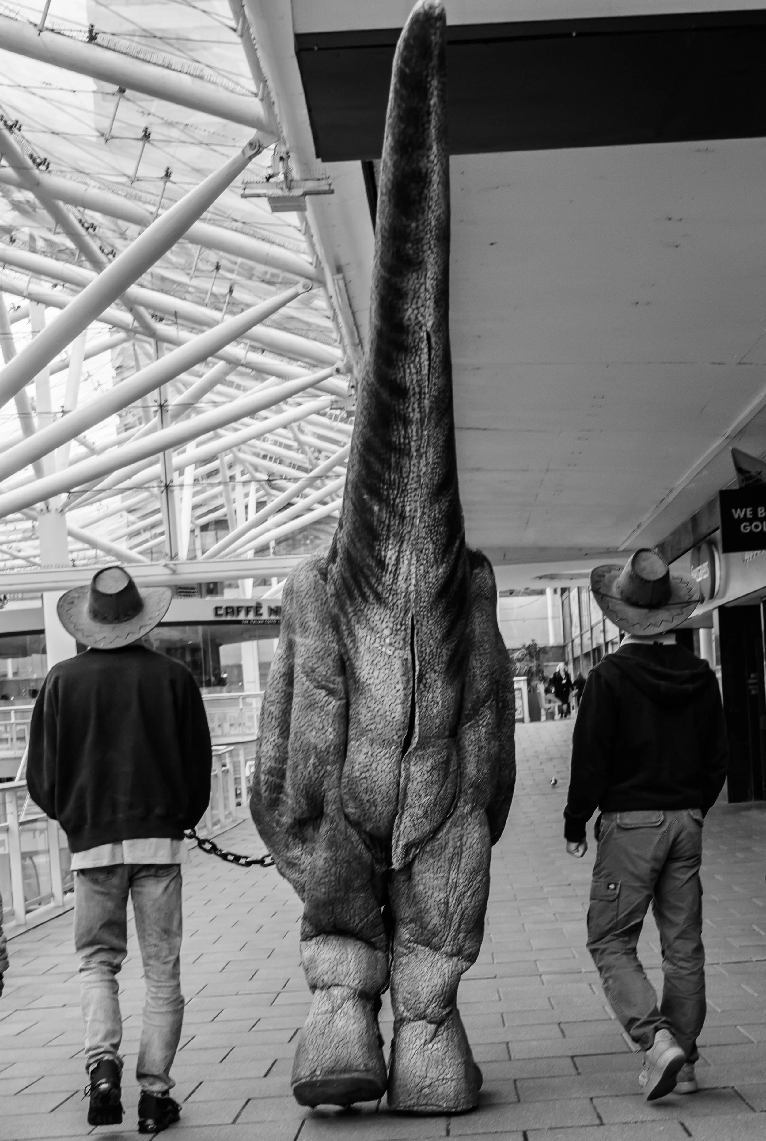 NZ8_0278.jpg