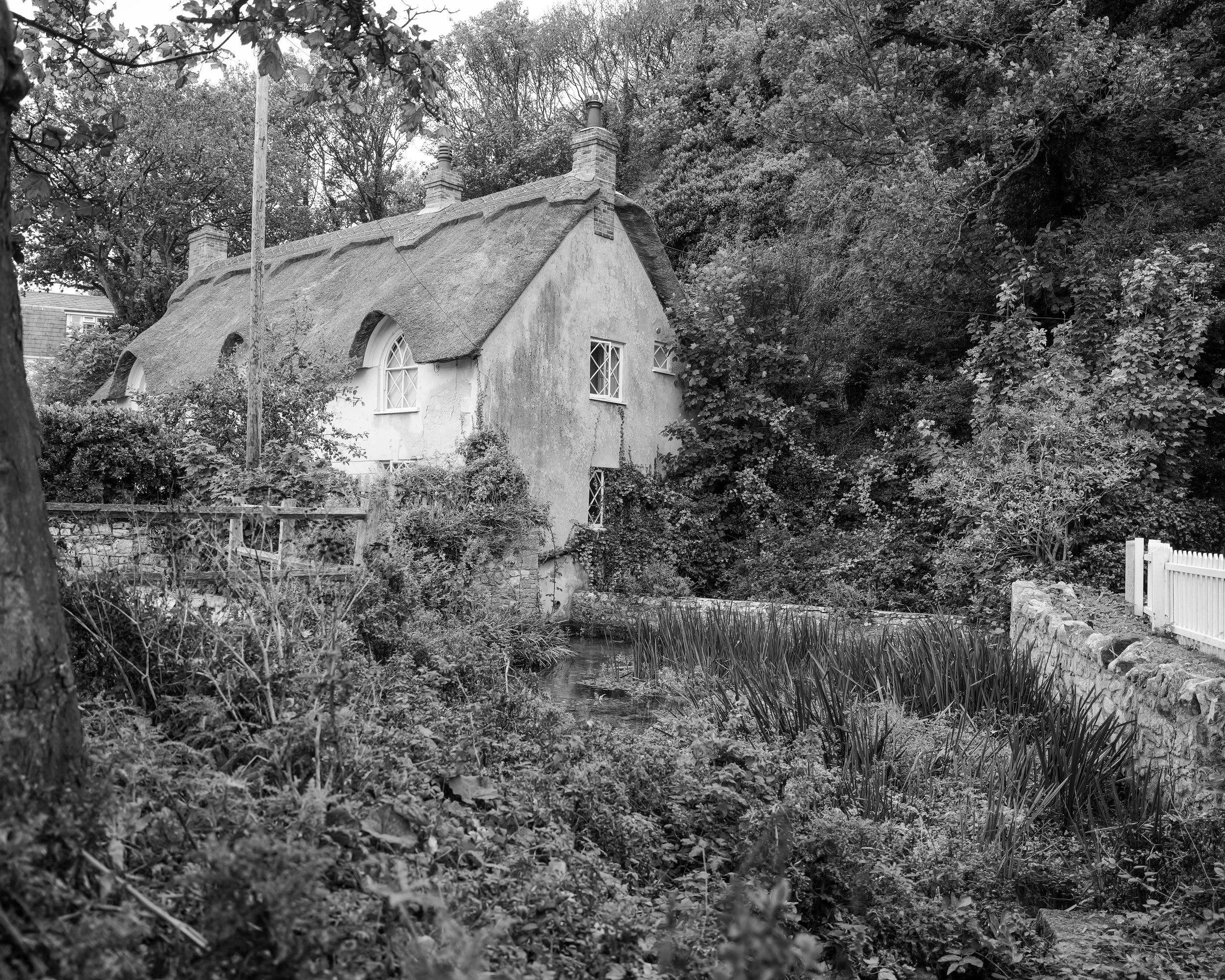 L1004390.jpg