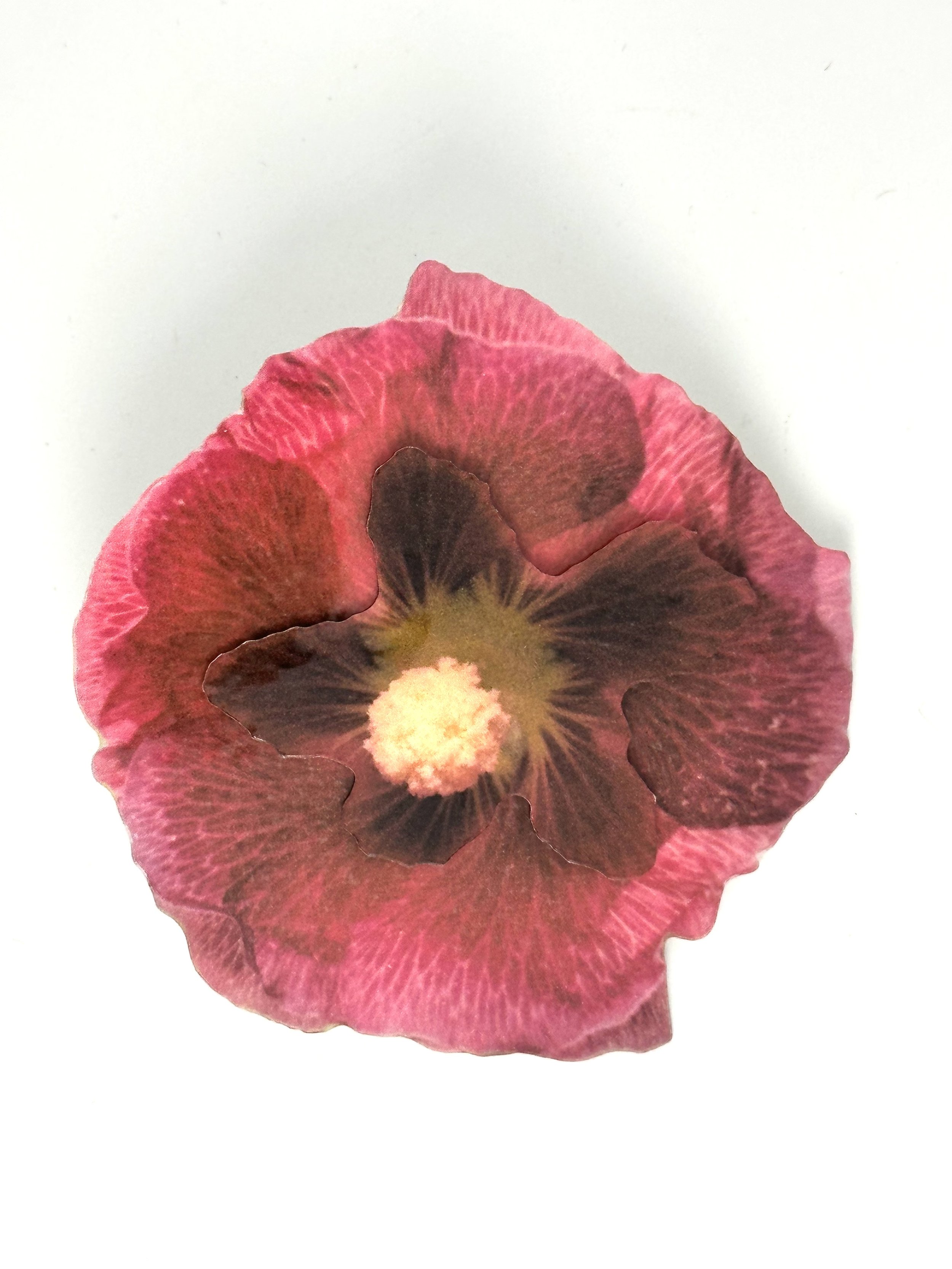 IMG_4482.jpeg