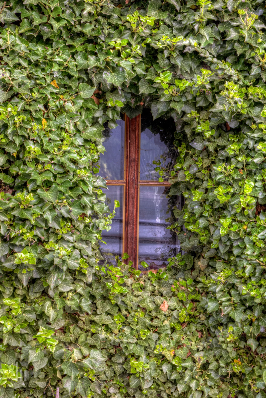 hallstatt-window-mh.jpg