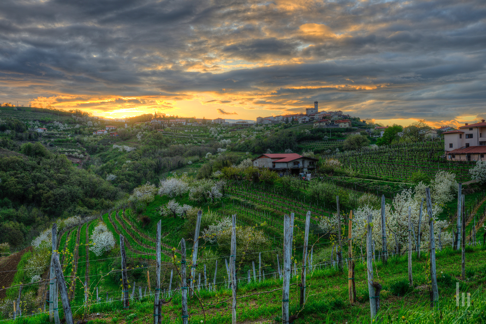 goriska-brda-mhf-04.jpg