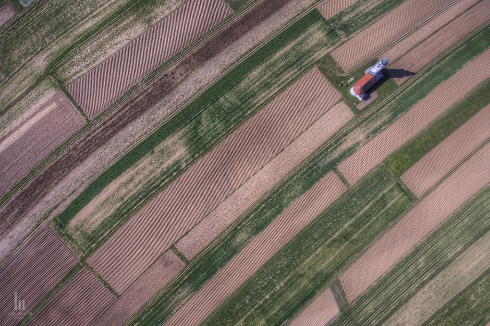 in-the-middle-of-the-fields-mh2000.jpg