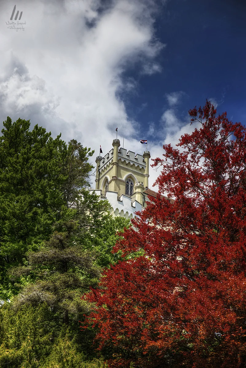 Tower between large trees