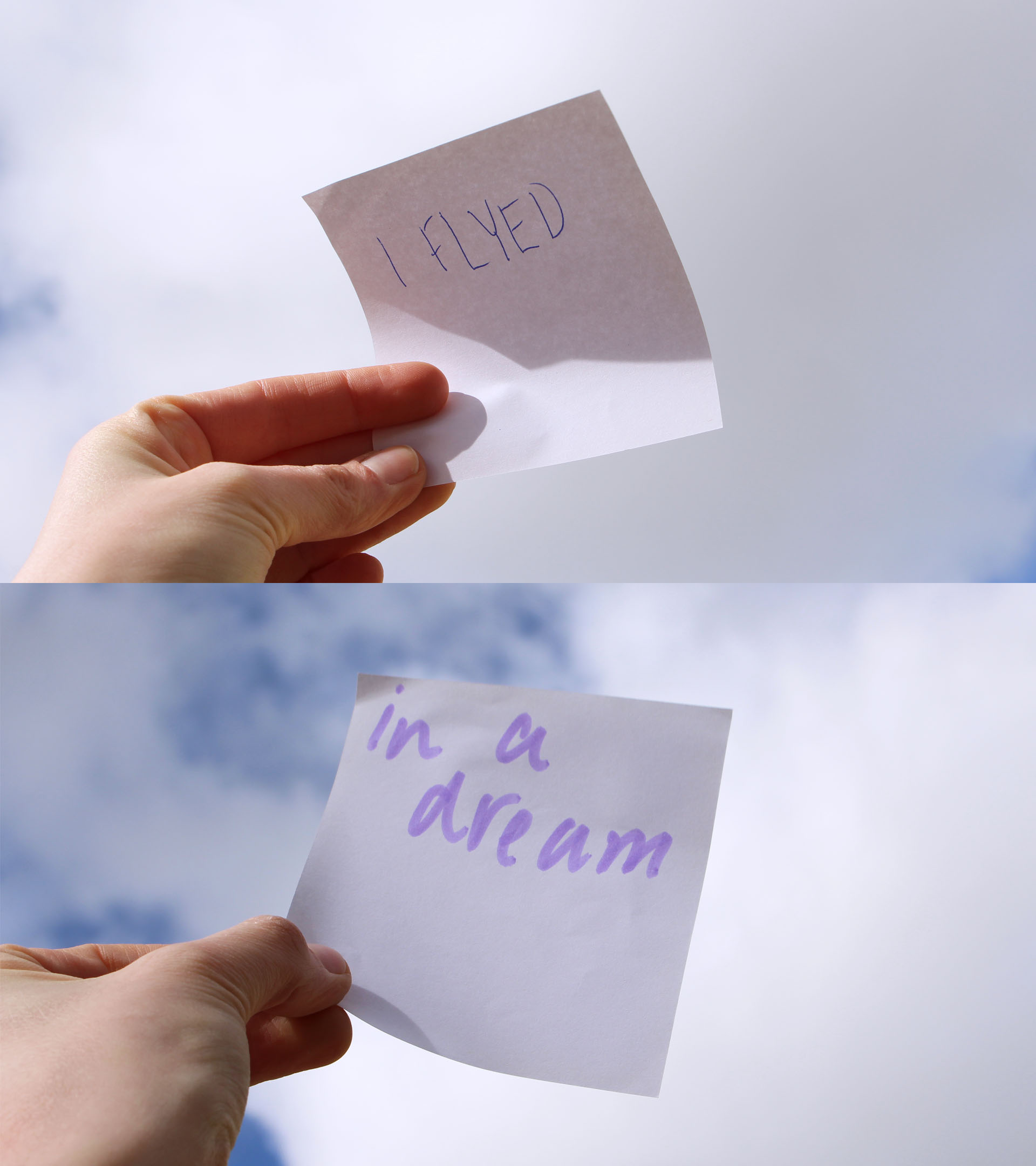 I FLYED IN A DREAM_FLOCK.jpg
