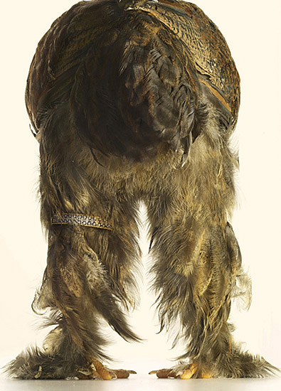 MC2_LuxuryChicks9_peterlippmann.jpg