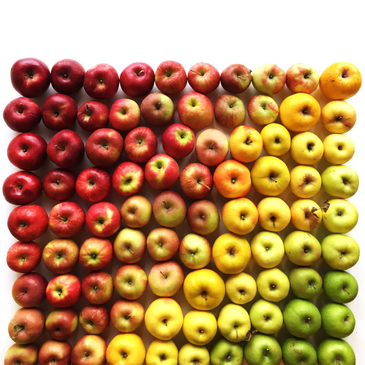 wright-kitchen-apples-gradient-goodfromyou.jpg