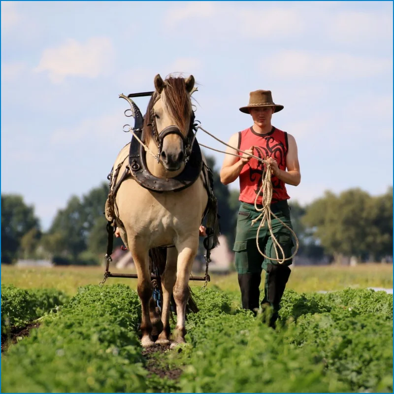 boeren1.jpg