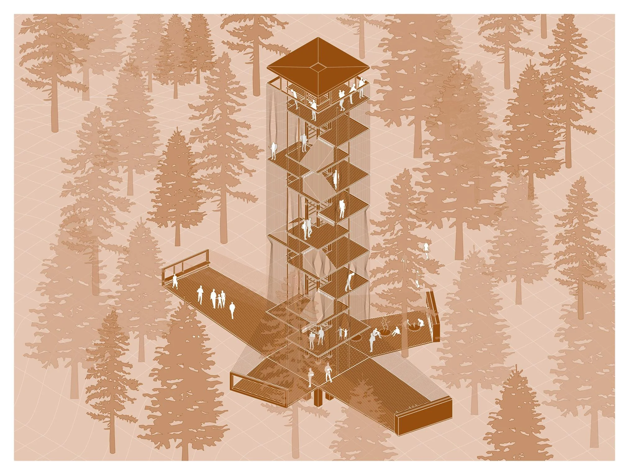 Lookout Campsite.jpg