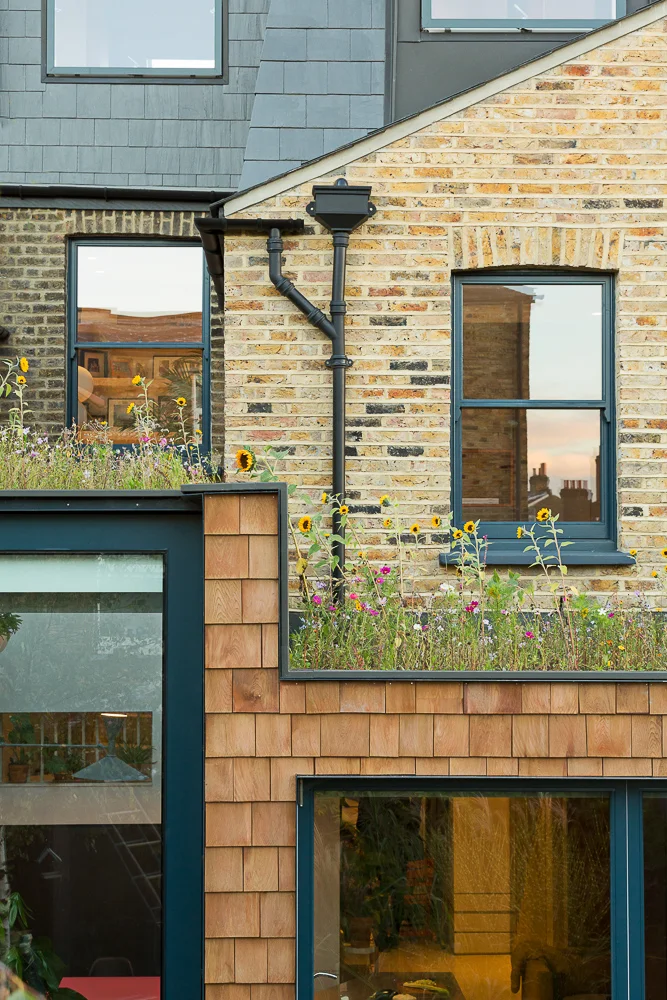 The rear extension with a huge glass door and a wildflower roof