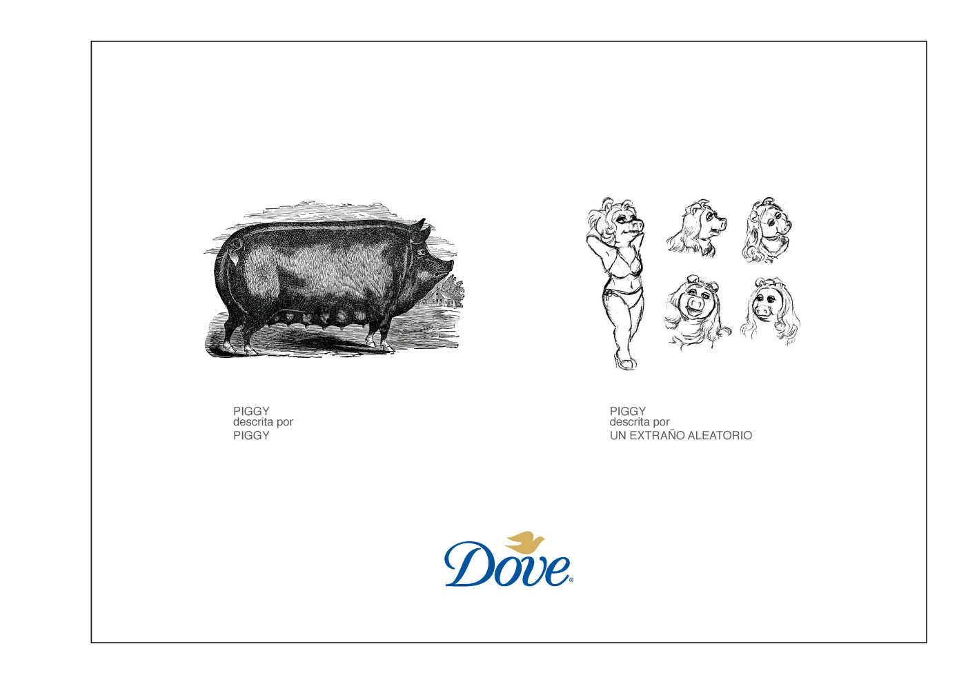 porkfolio - interior book-10.jpg