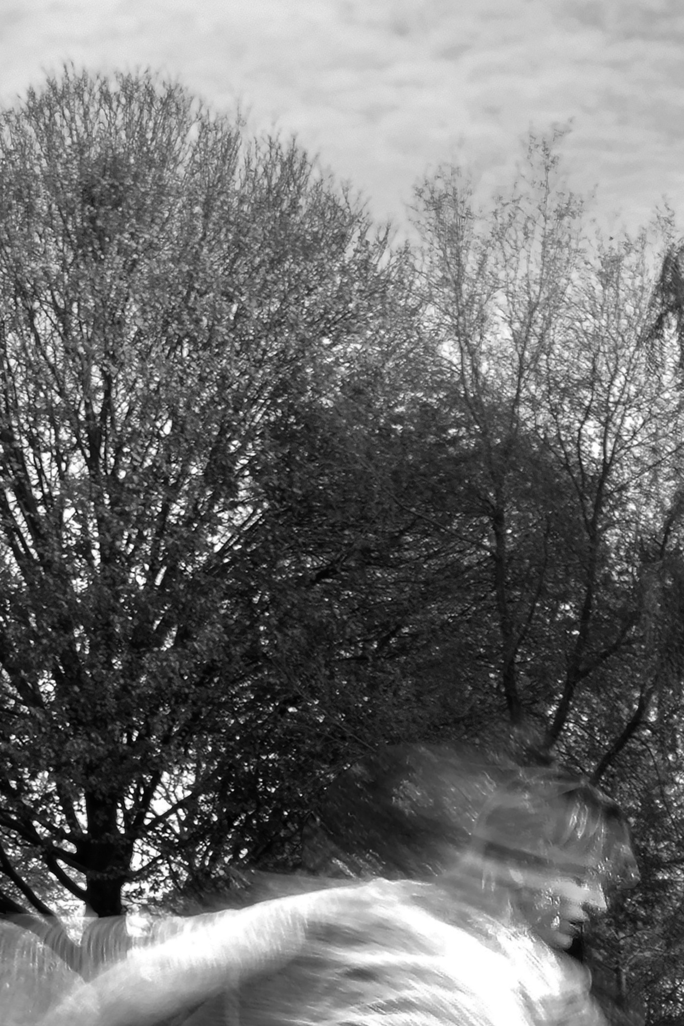 SOPHIA_02_IMG_3645 copy BW.jpg