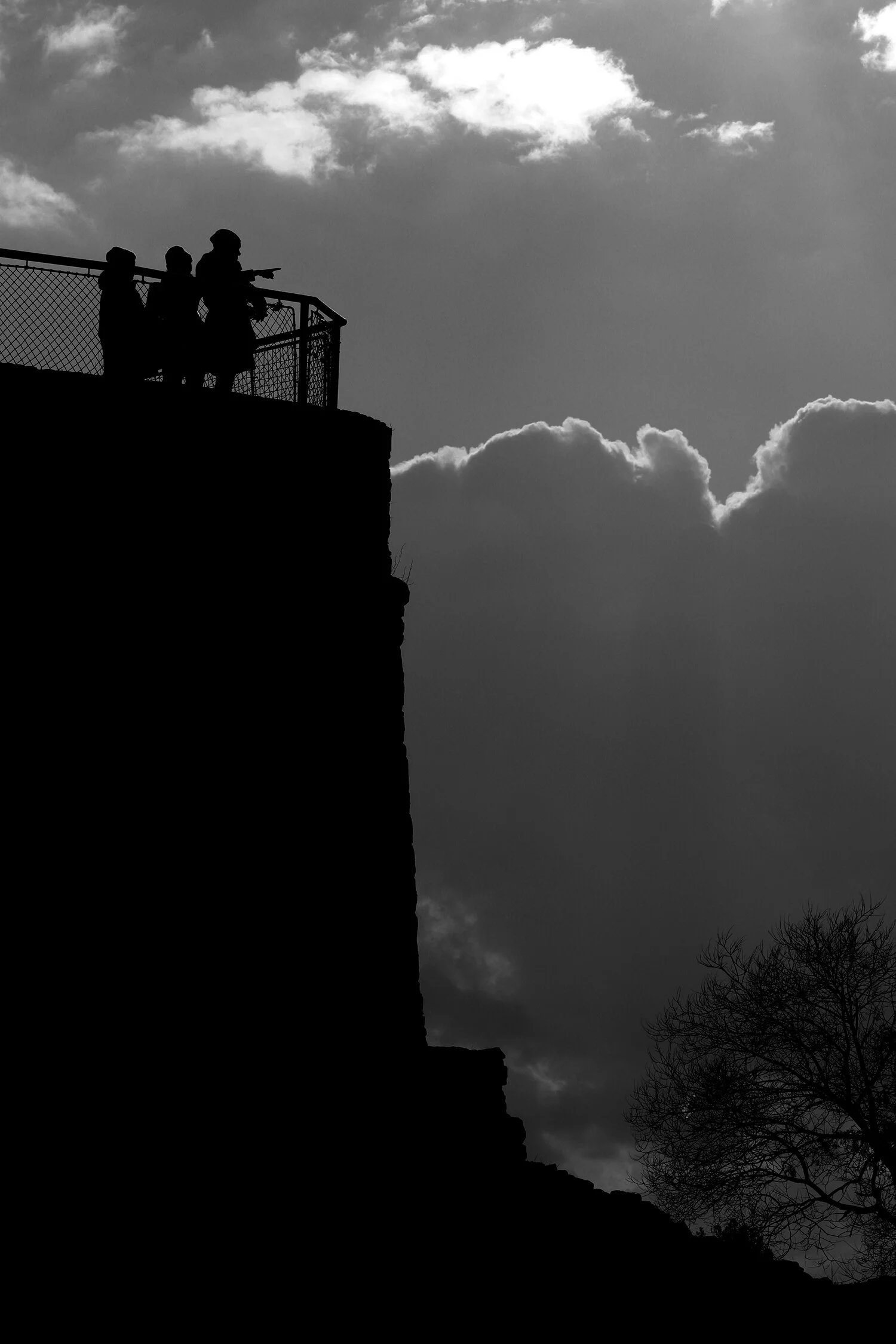IMG_2711 copy BNW 1500px.jpg