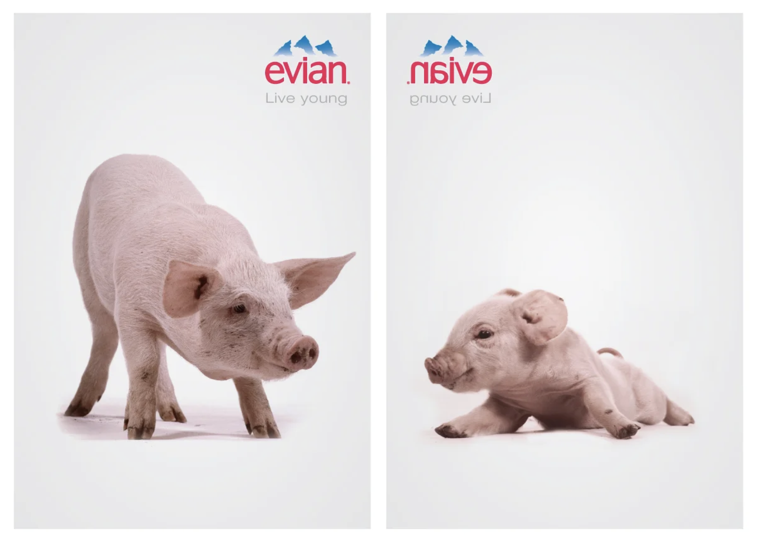 Screen Shot 2026-01-24 at 23.39.37.png