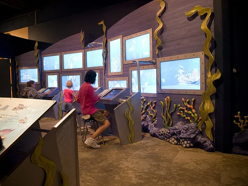 MUSEUM OF SCIENCE PERMANENT EXHIBITS