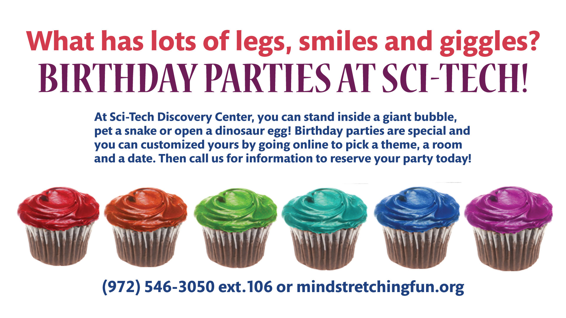 BIRTHDAY PARTY PROMOTIONAL MONITOR SCREEN