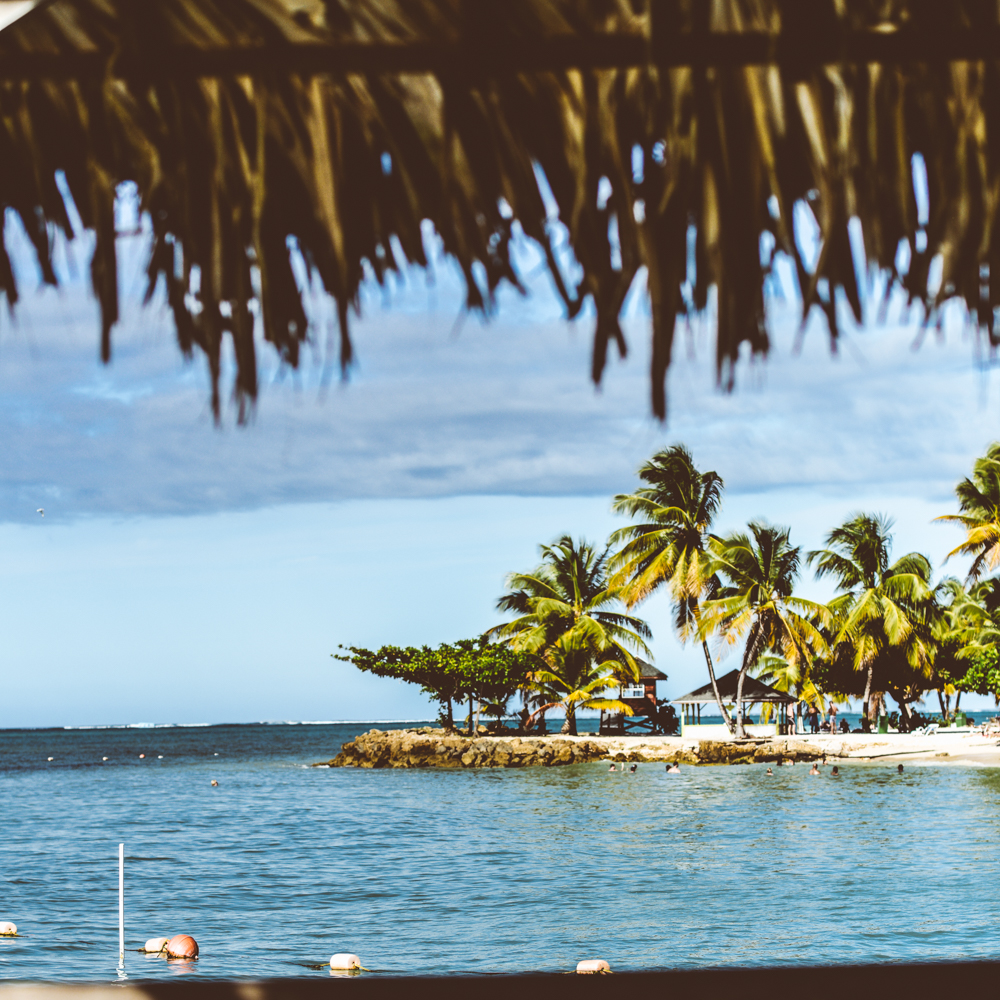 Paradiziac-Trinidad-and-Tobago-Dapper-Lou1.jpg