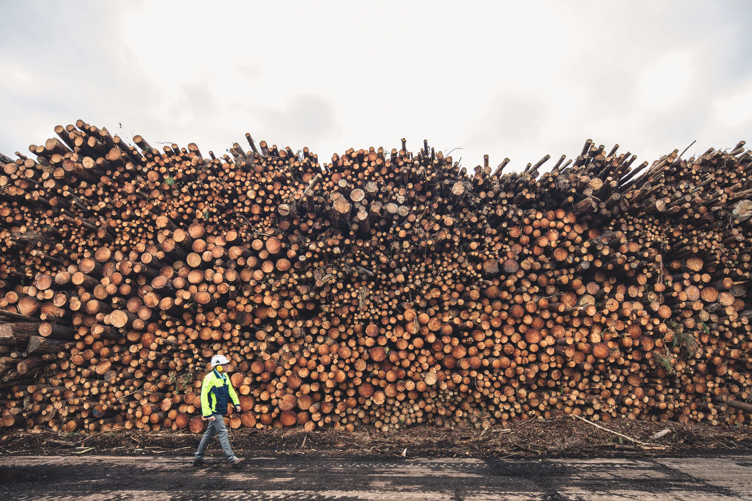 smurfit kappa.biganos.2019.09-21.web.jpg