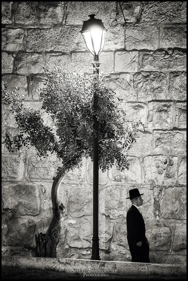 Symmetree