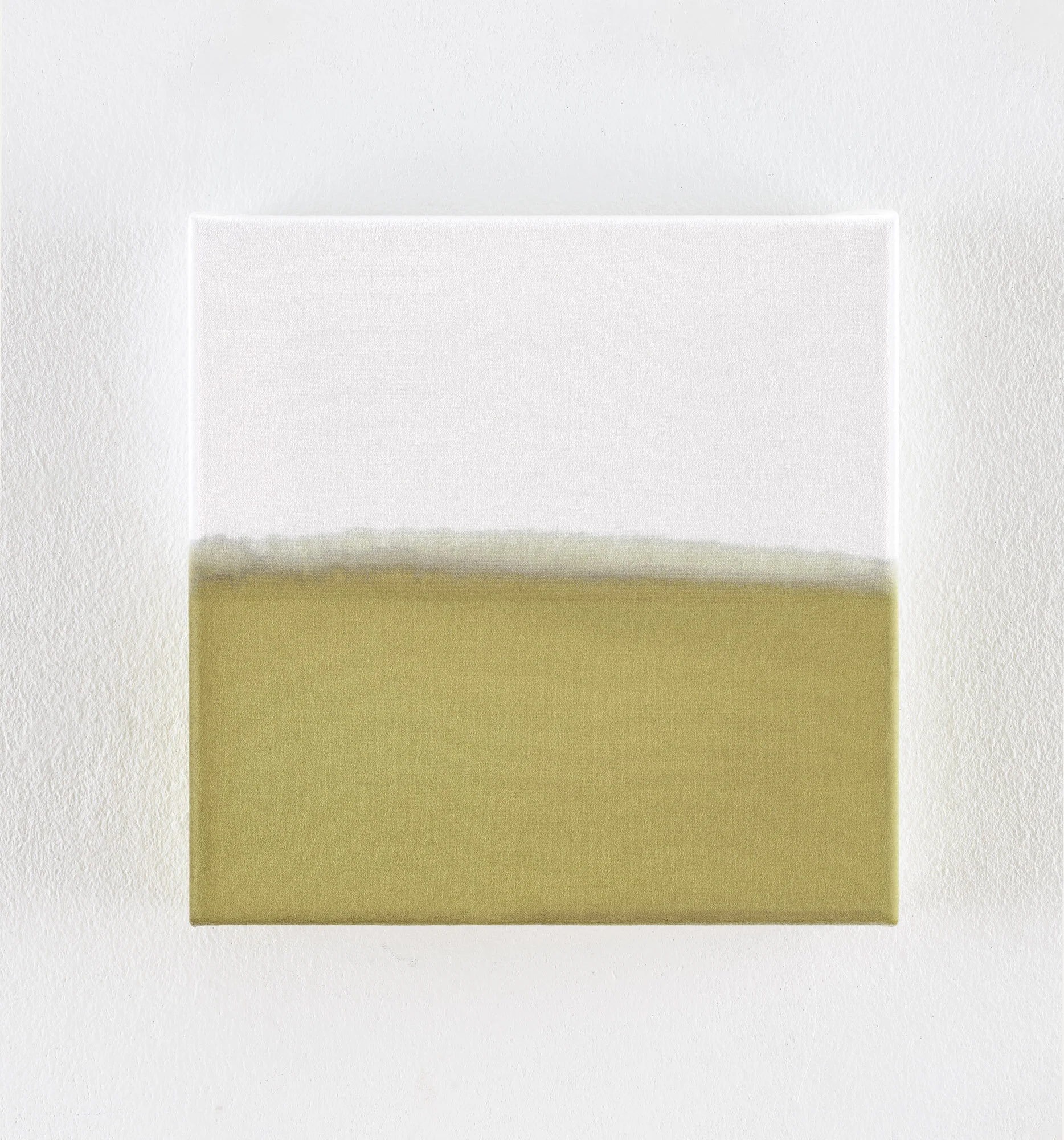 plain painted velvet 30 x 30 cm. 2020