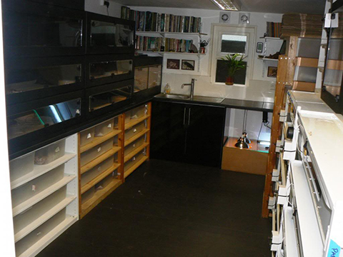 Professional Facility First class animals kept to the highest standards