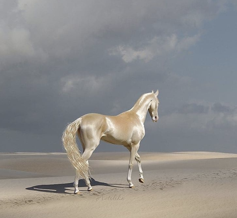 Screen Shot 2020-06-18 at 3.34.28 PM.png