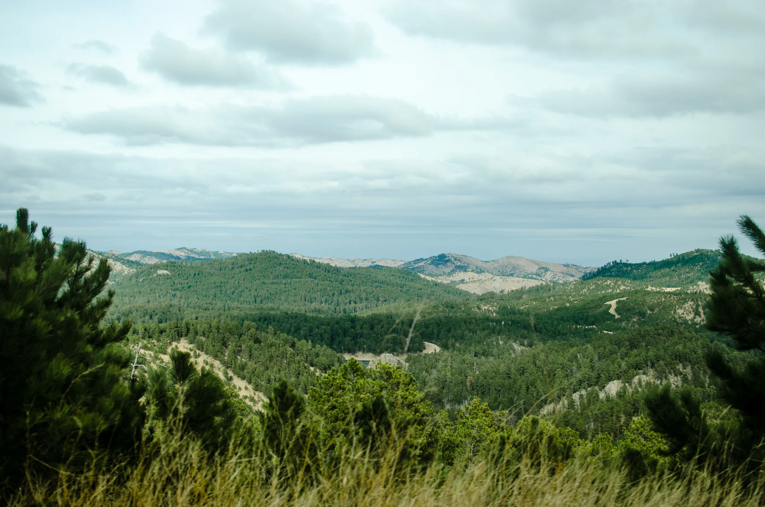 DSC_0703.jpg