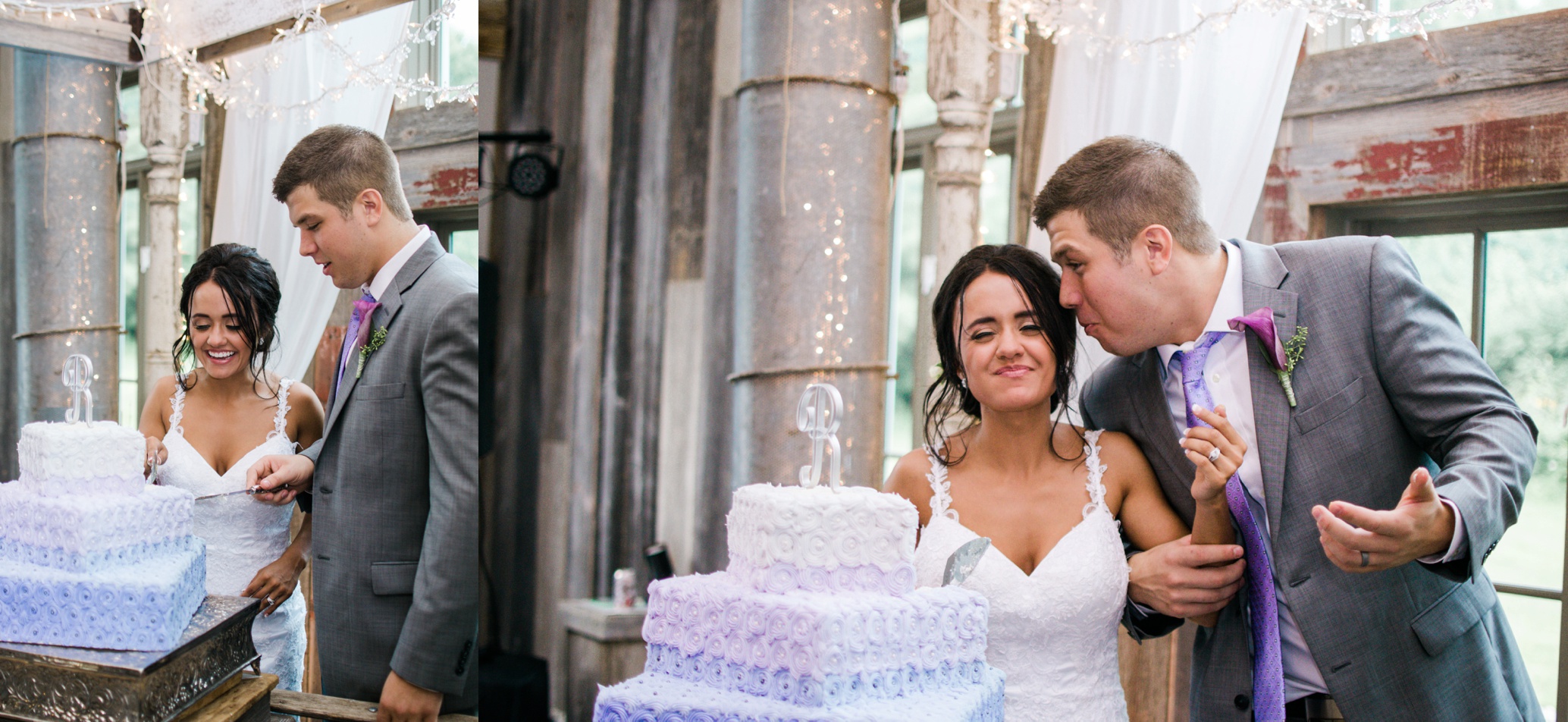 Barnes' Place Rustic Outdoor Wedding | Ali Leigh Photo Minneapolis Wedding Photographer_0165.jpg