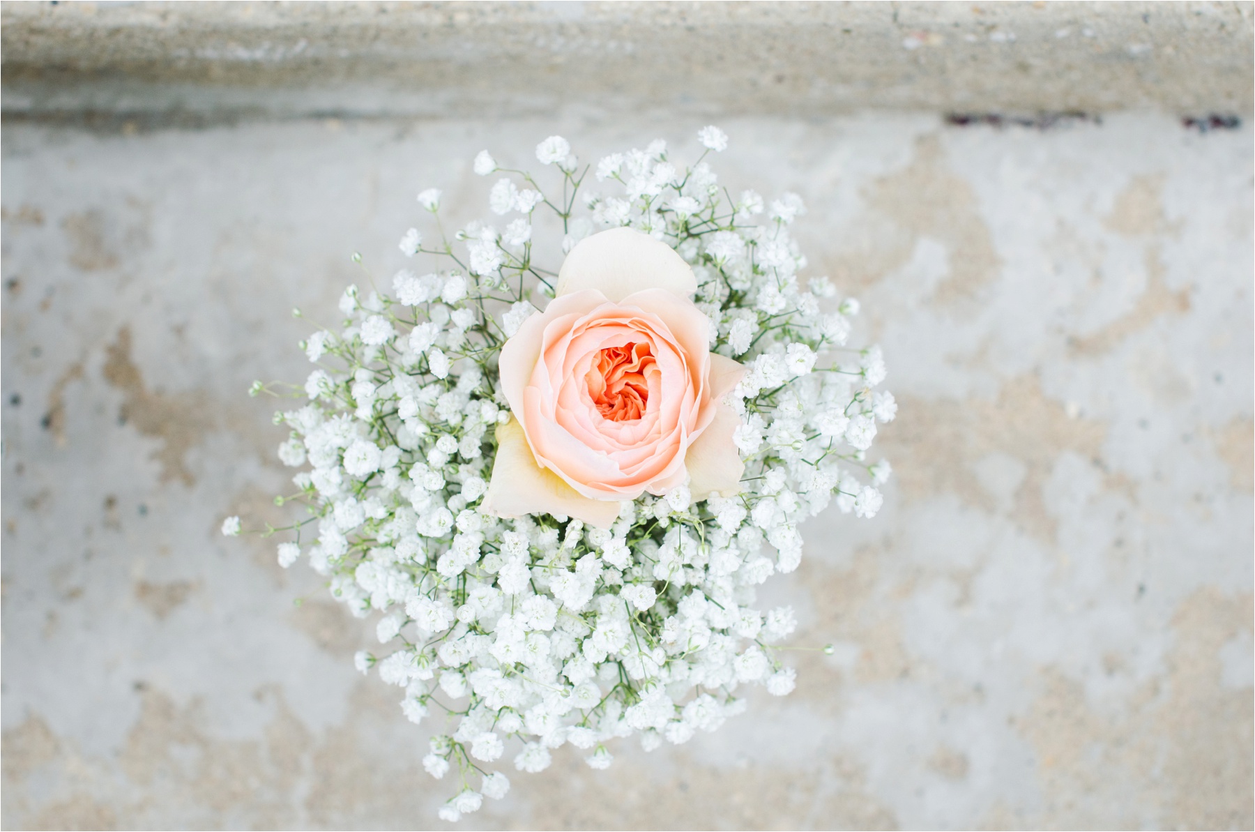 Appleton Wisconsin Wedding Photographer | Ali Leigh Photo
