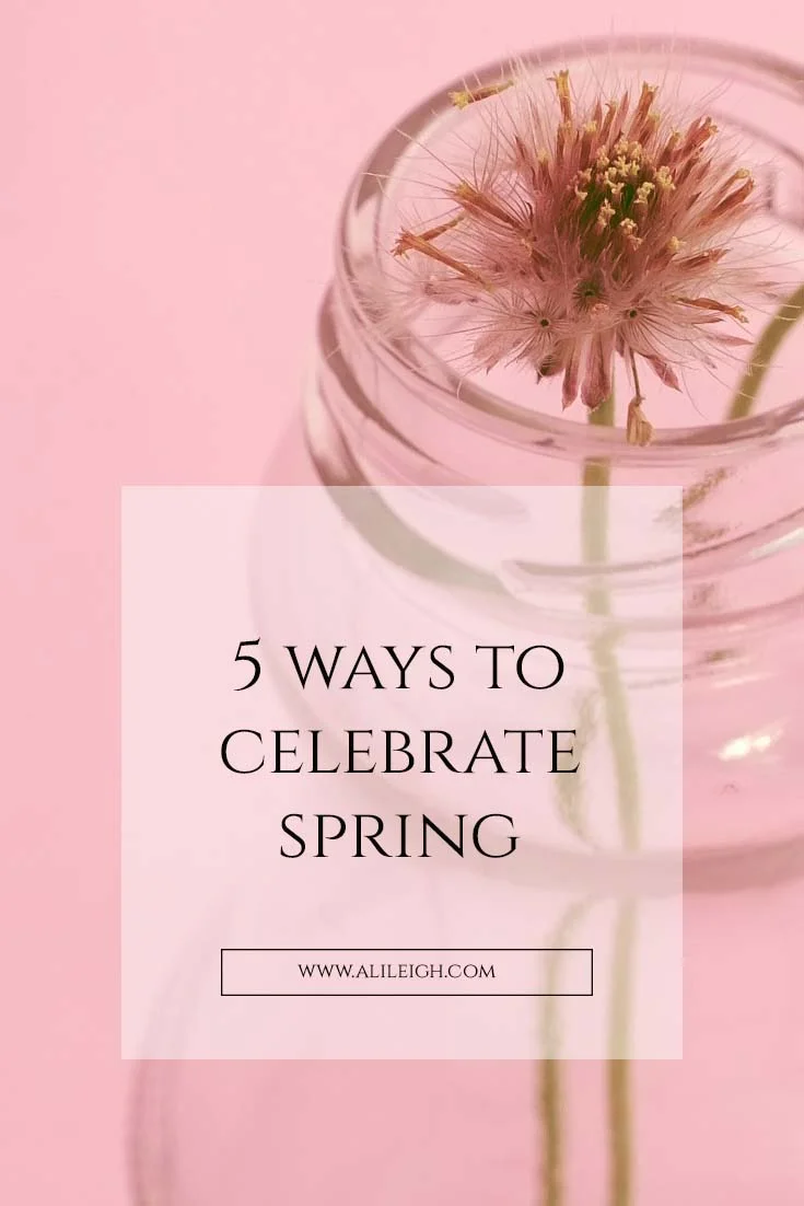 Springtime Appleton Wisconsin Wedding Photography Ali Leigh Photo