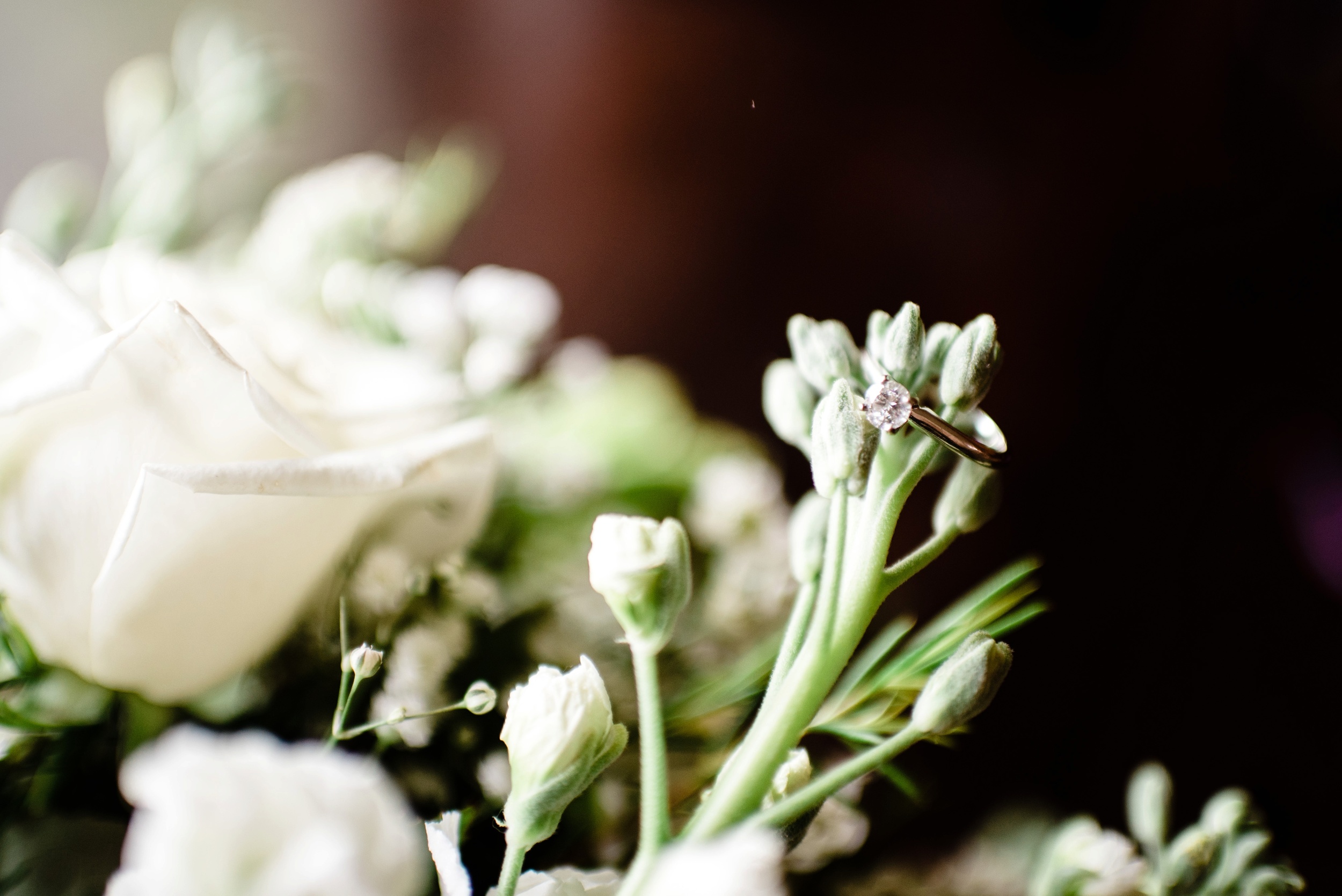 Pleasant Hill Des Moines Wedding Photographer_2113.jpg